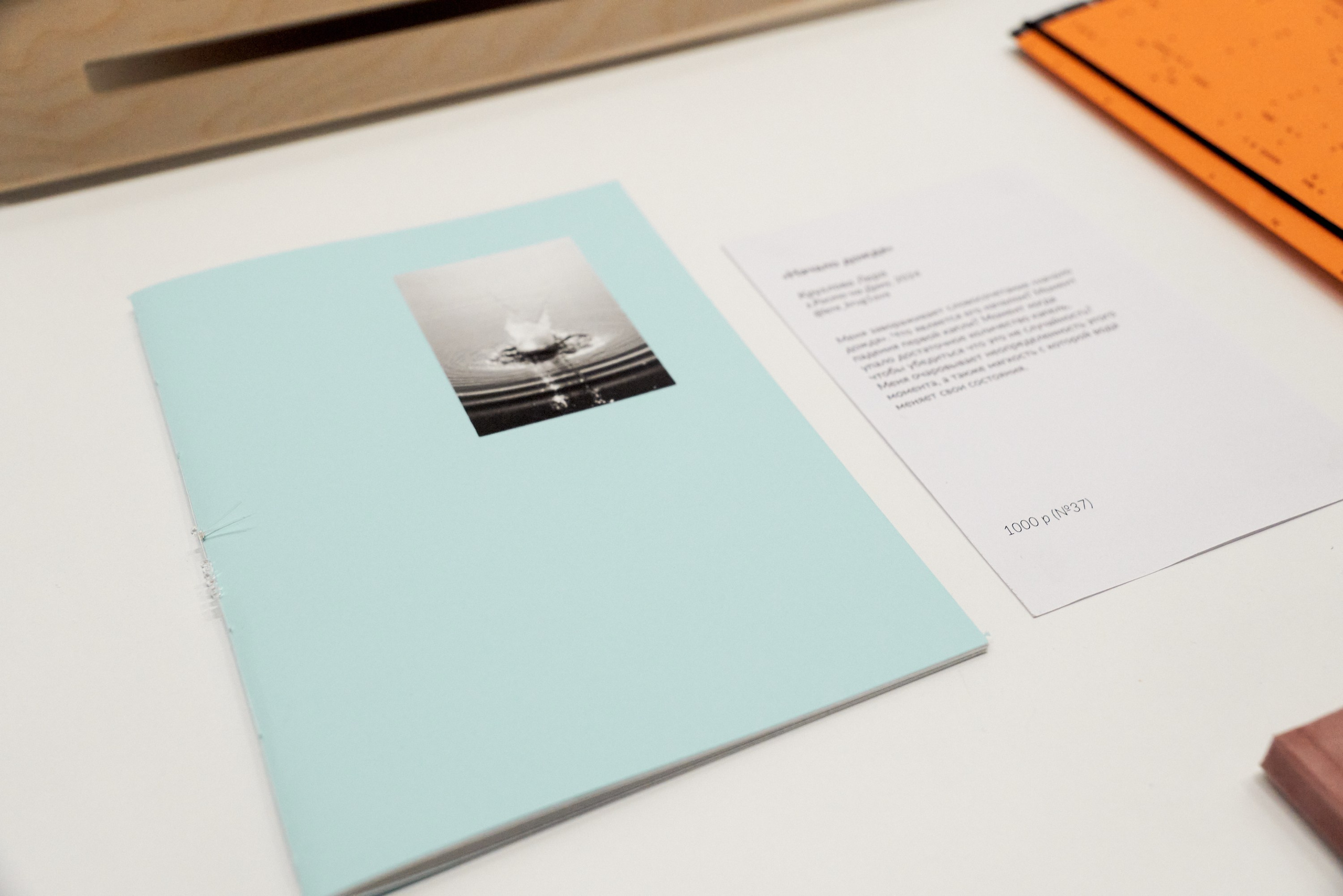 Разворот, фестиваль зинов, 27–29 сентября 2024, Дом архитектора, Воронеж. Лера Круглова