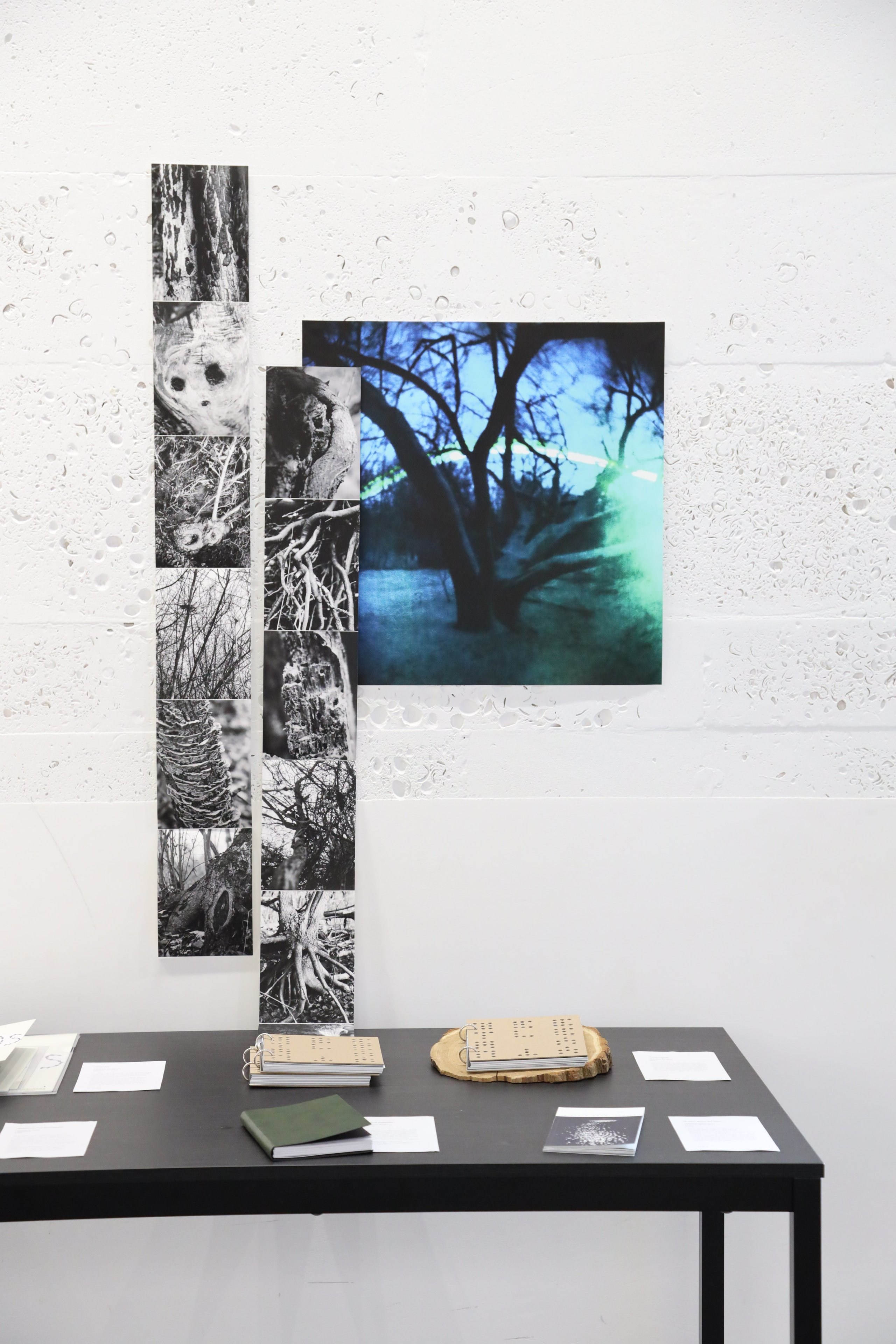 Разворот, фестиваль зинов, 9–10 сентября 2023, Доме архитектора, Воронеж. Лера Круглова