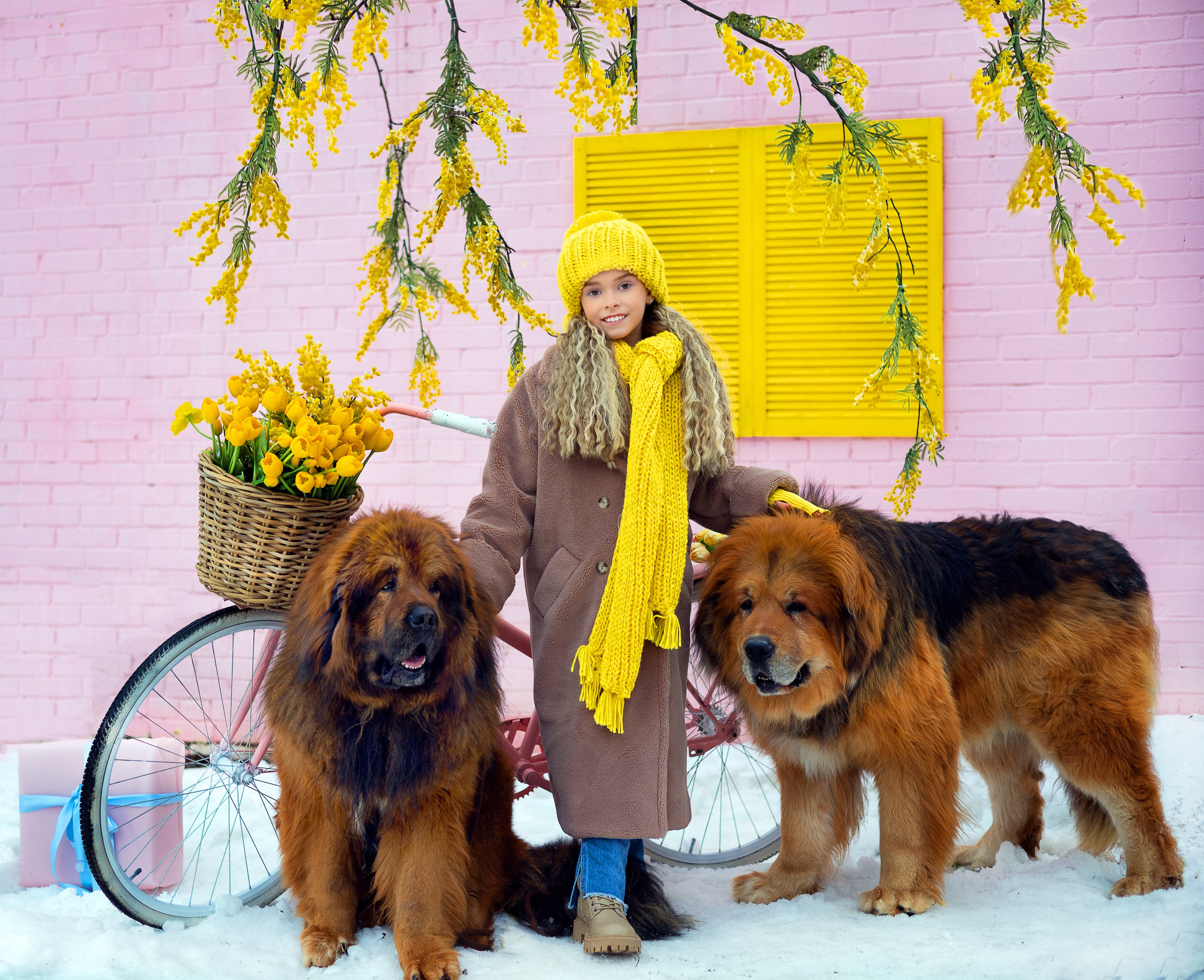 Детские съёмки. Фотограф Юлия Ревищина