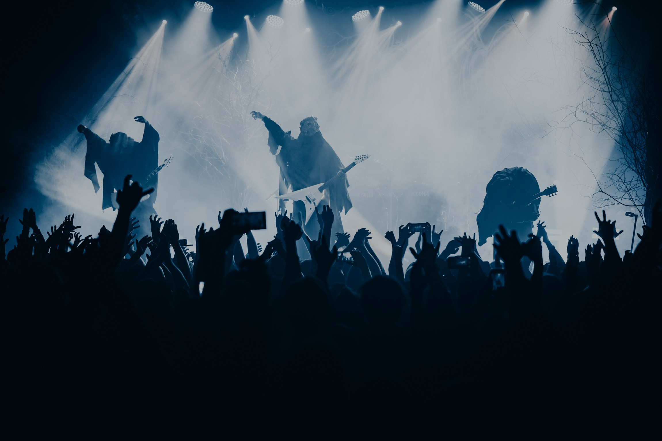 Концертный фотограф в Санкт-Петербурге Дмитрий Соколов