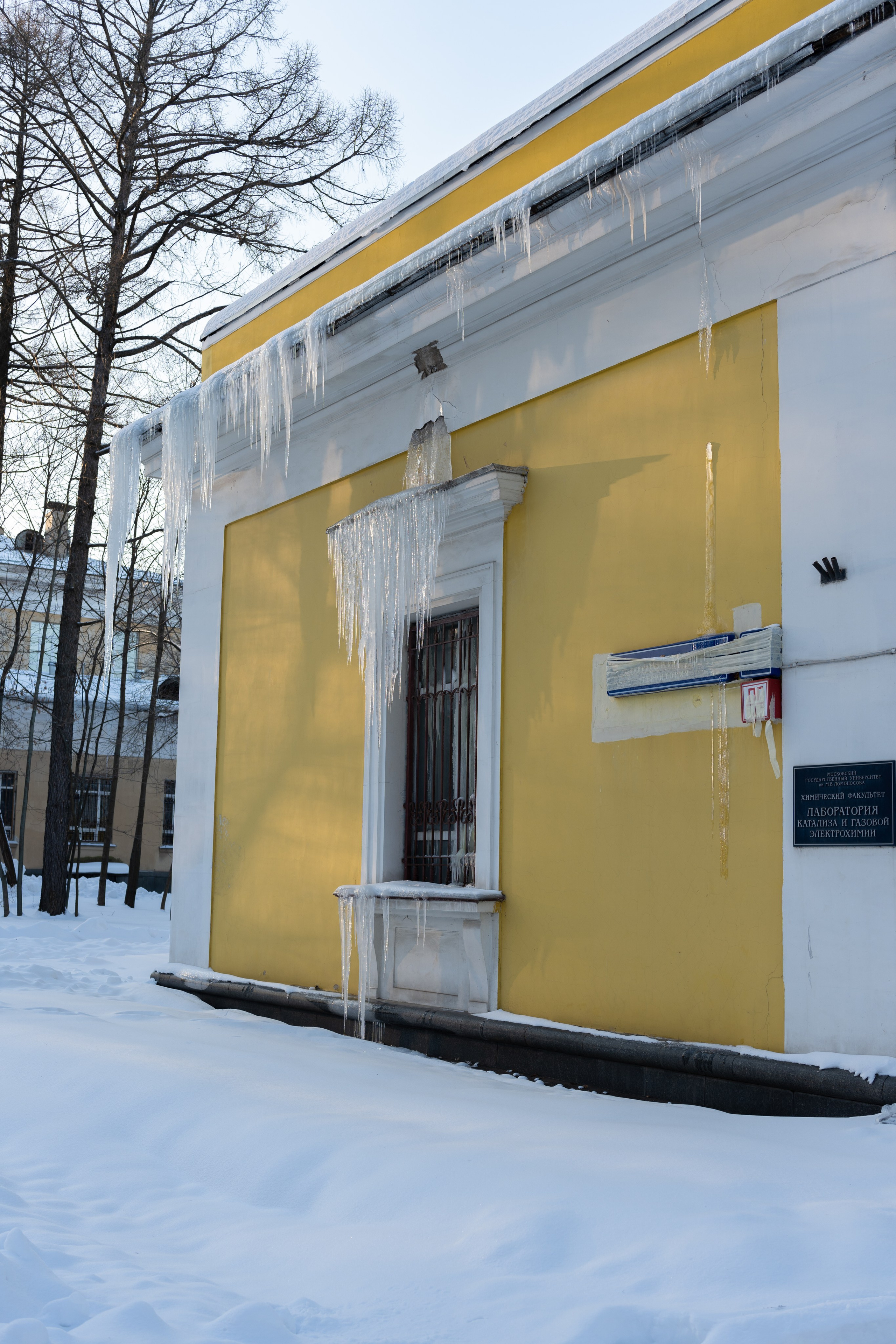 20260118 МГУ. Дмитрий Ремизов. Фотография, как хобби