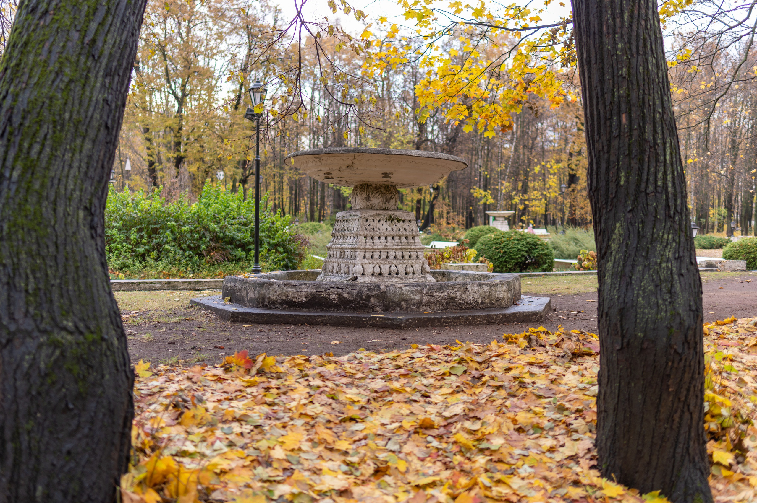 20231031 Нескучный сад. Дмитрий Ремизов. Фотография, как хобби