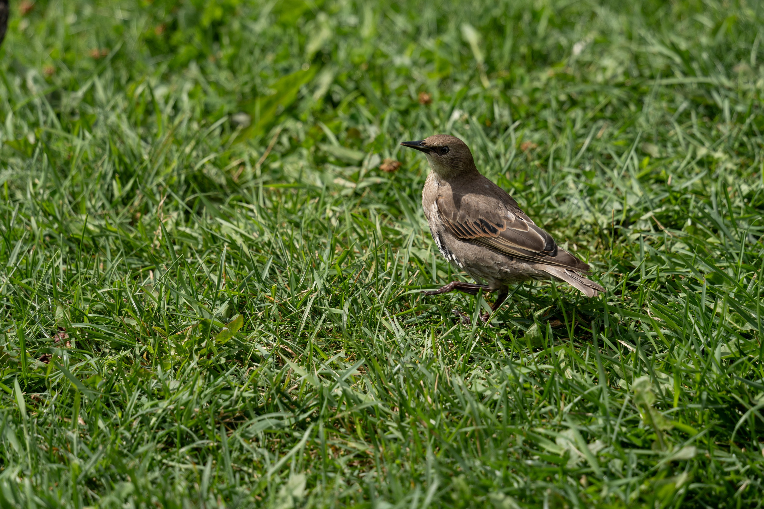 20250808 Прогулка с сыном. Дмитрий Ремизов. Фотография, как хобби