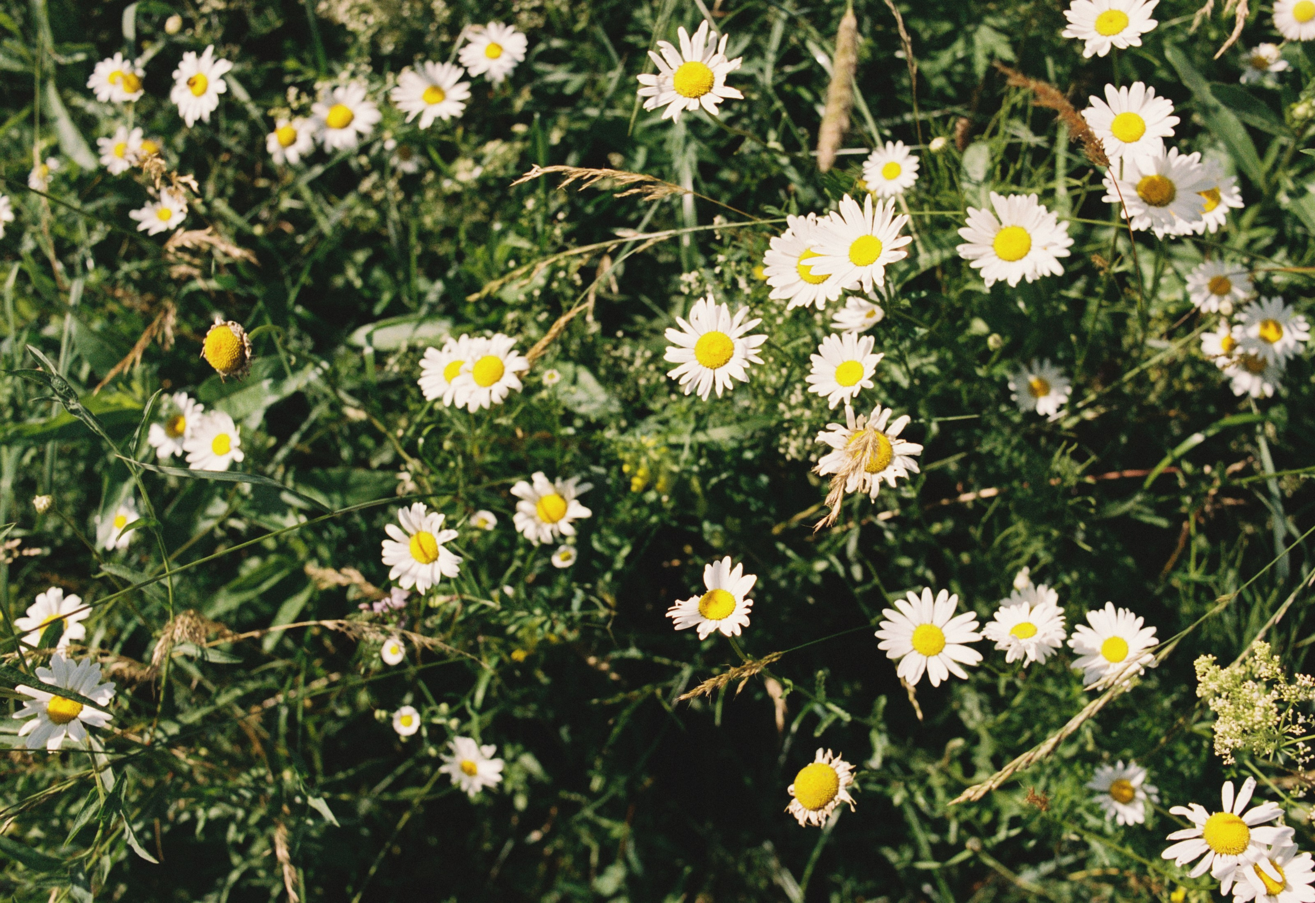 Me: nu. Sasha&Karina Photographers