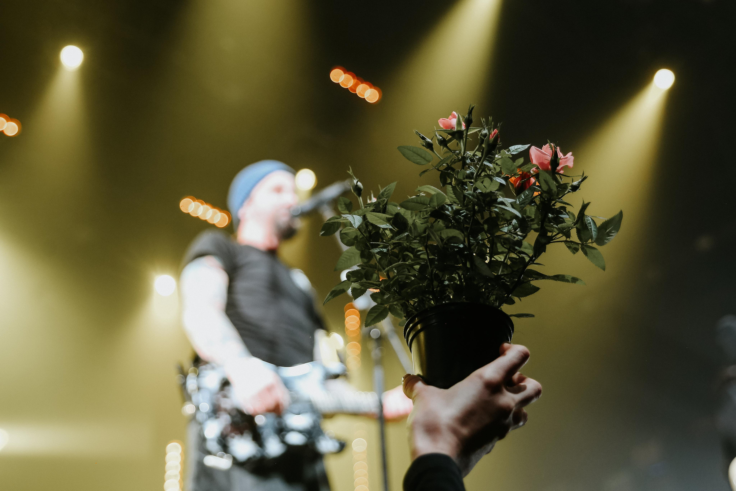Пилот. 25 лет группе. Adrenaline Stadium. Антонина Морозова, профессиональный семейный фотограф видеограф