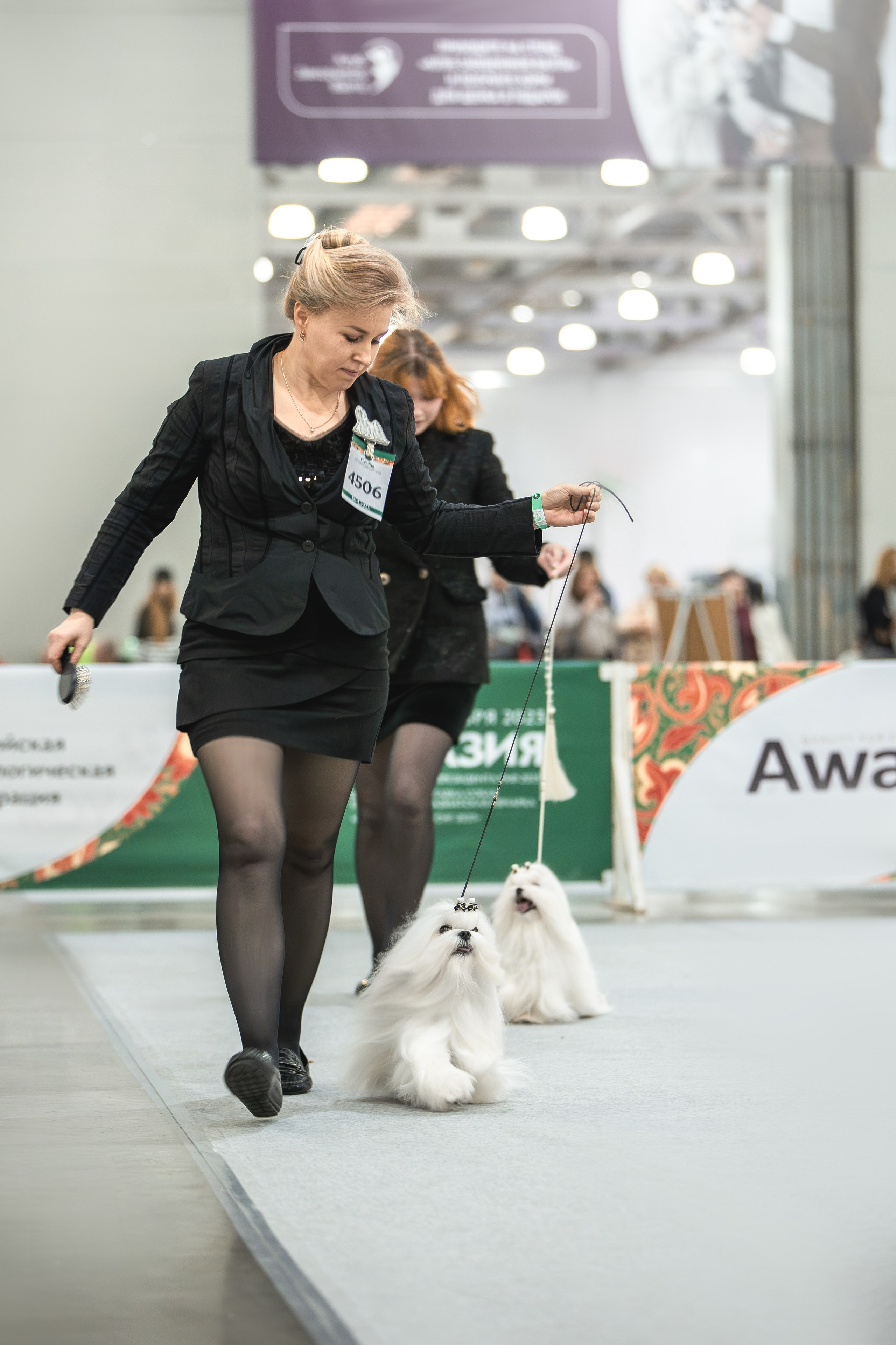 Выставки. Фотограф анималист в Москве Майорова Евгения