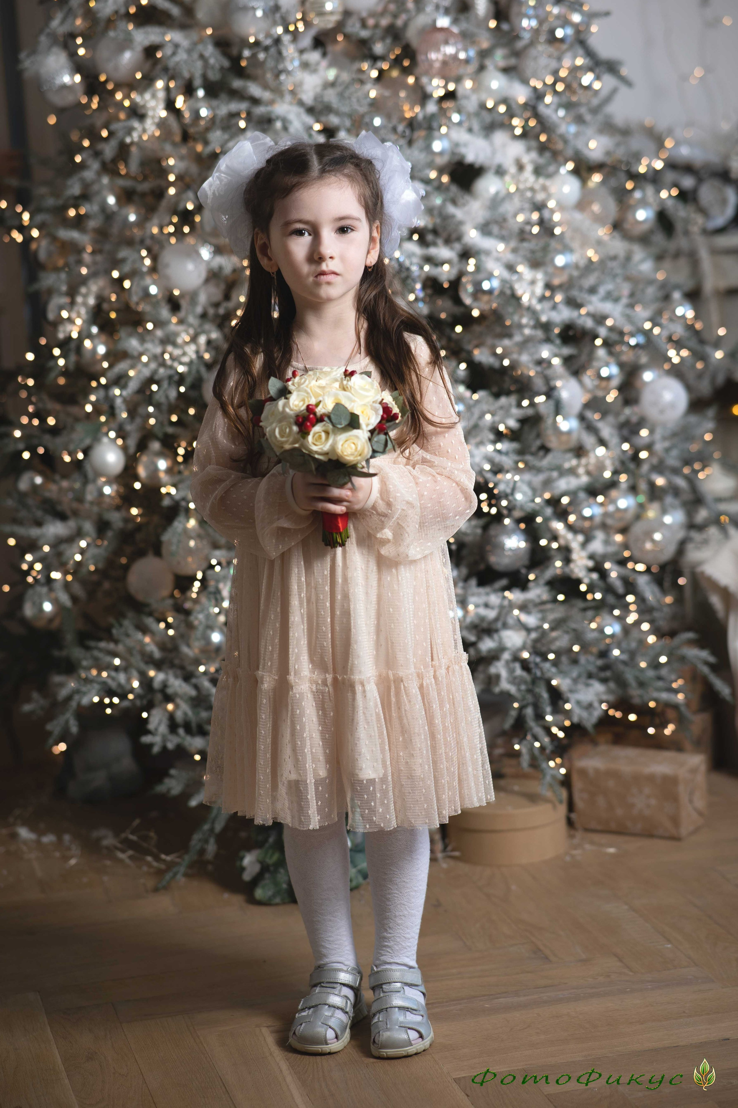 Новогодние. Фотографы Евгений и Екатерина. Фотофикус. Тюмень