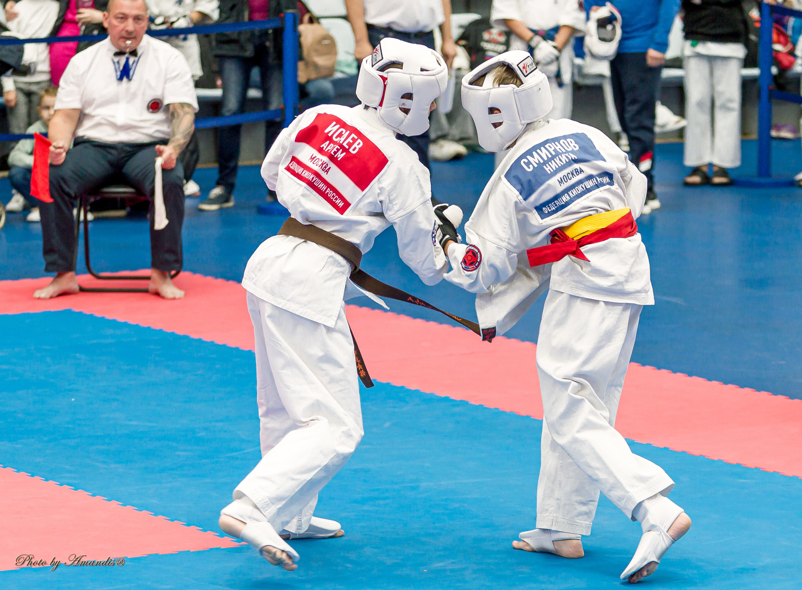 Чемпионат по Киокушинкай Центрального Федерального округа. Репортажная съемка в Москве и области. Анималистика