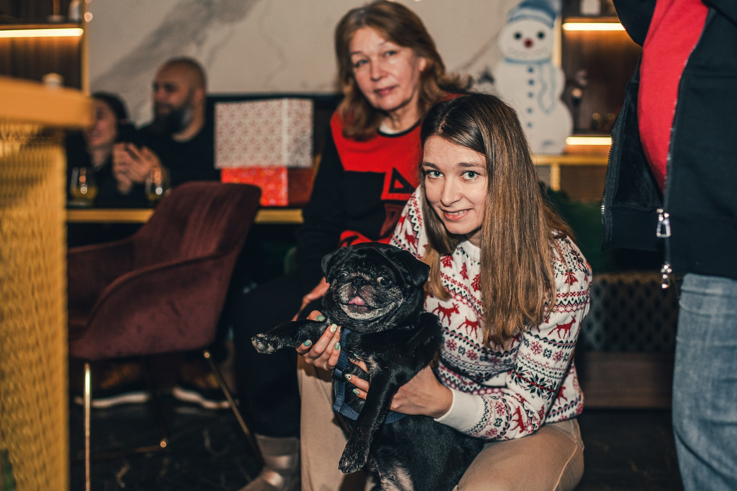 Мопсовстреча 02.12.2023. Фотограф-анималист Татьяна Степанова