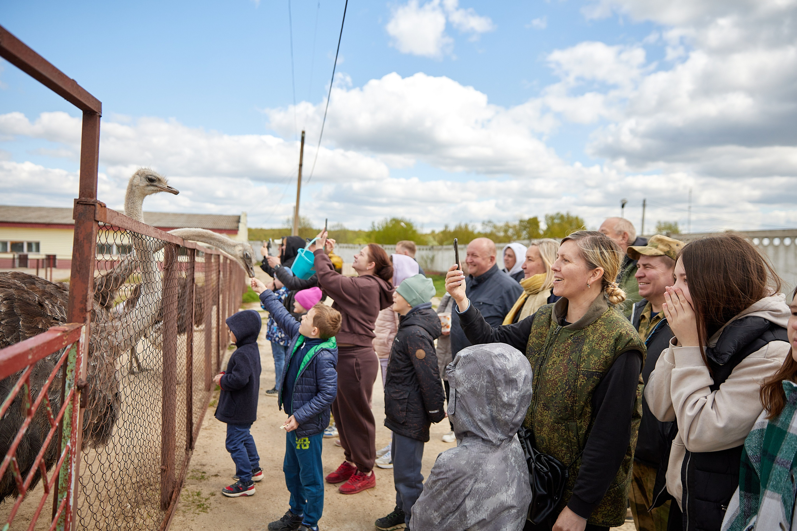 На ферме. Главная