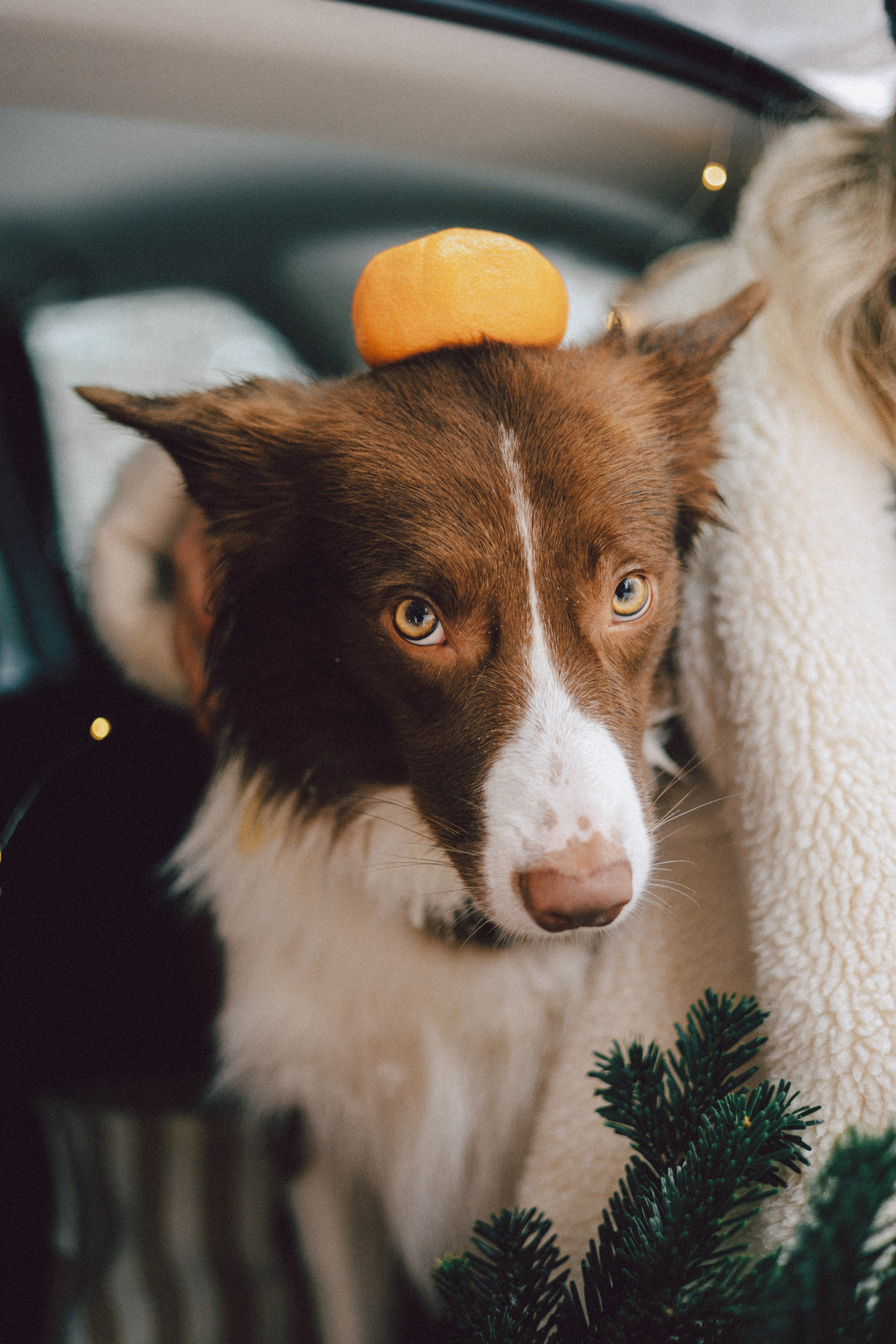 Настя и Ваня. Фотограф Анна Луценко Москва