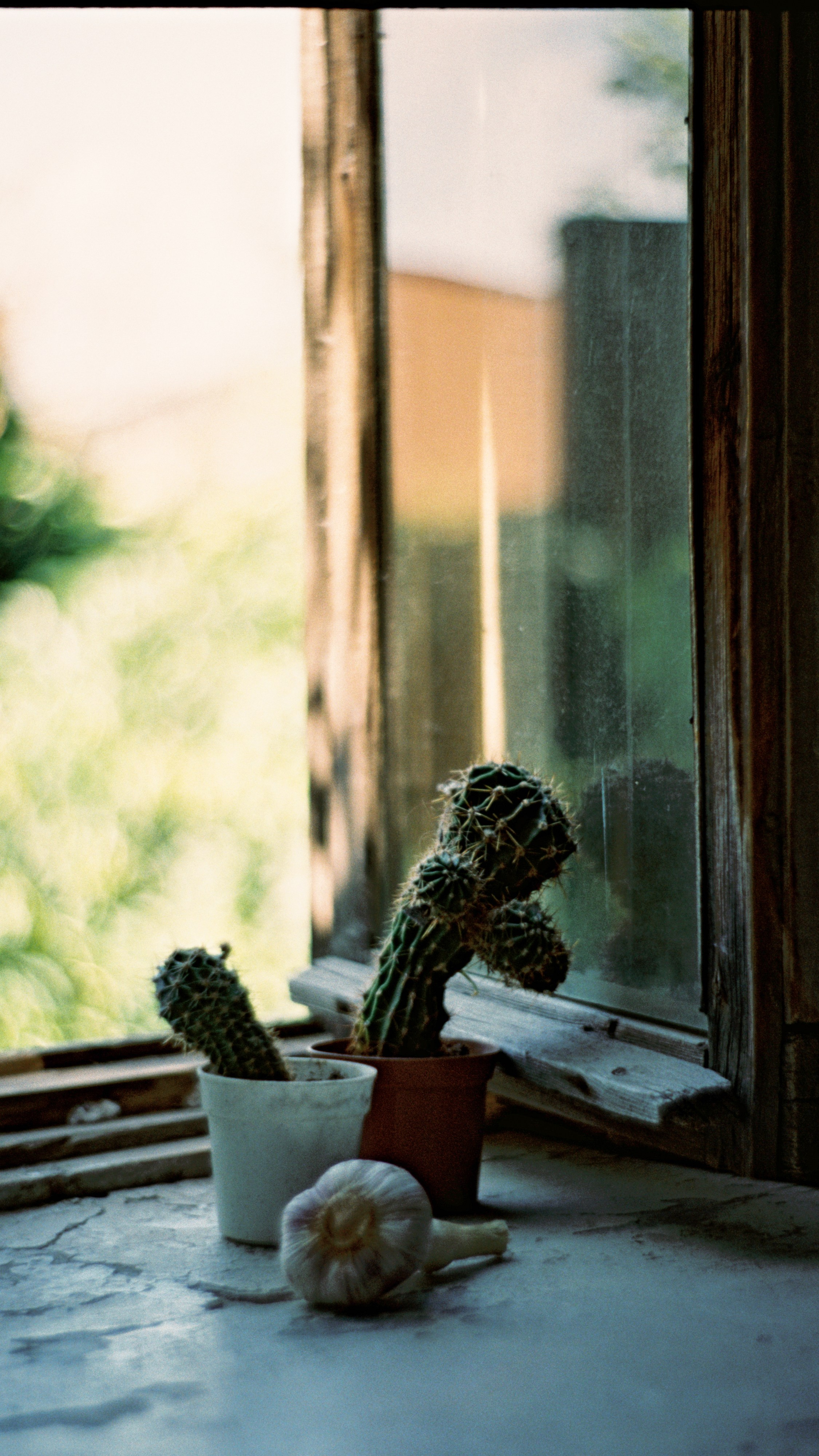 Пленочная история. Дмитрий Пропадалин, Нейрофотография