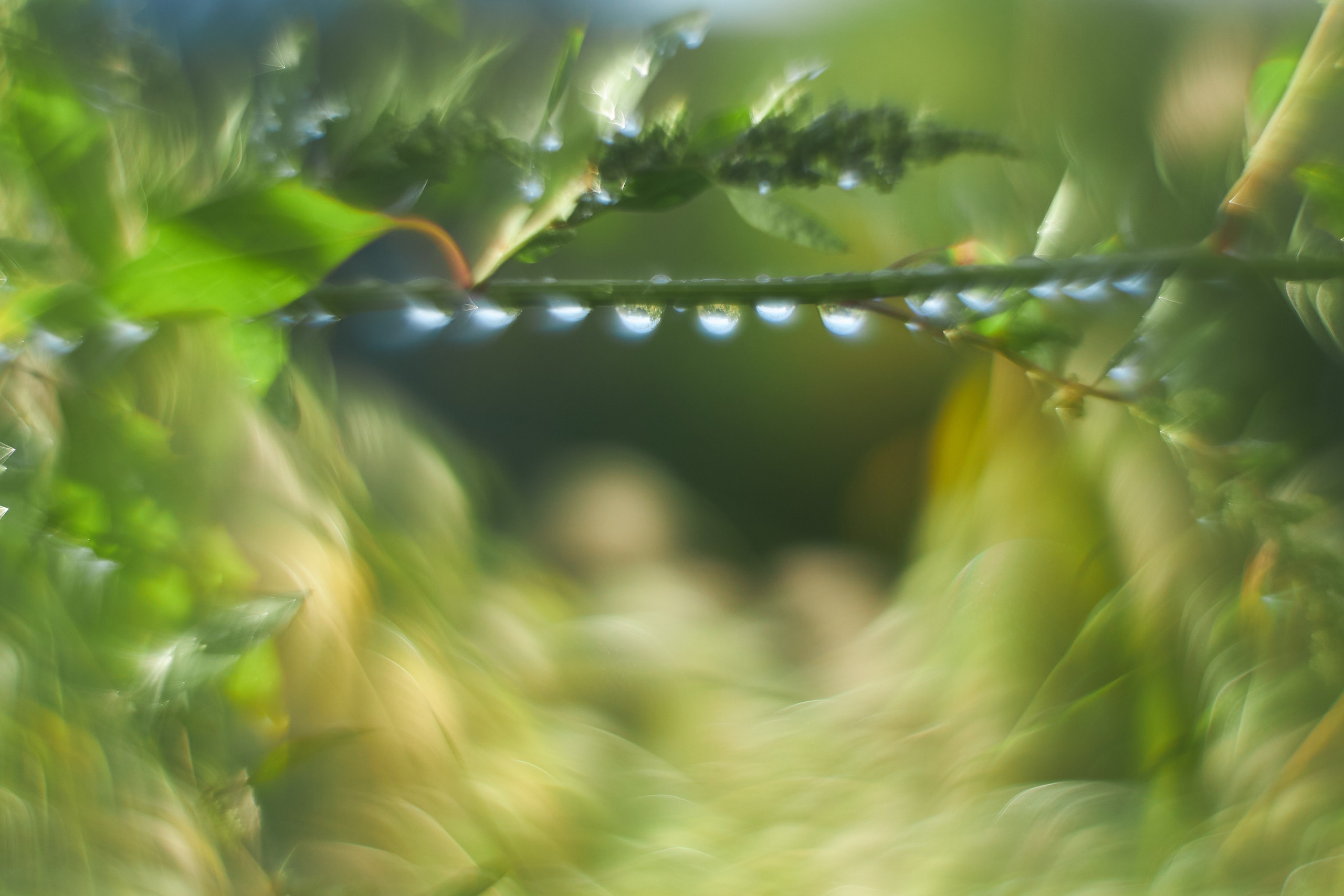Арт-фотограф во Владивостоке Дмитрий Осипчук