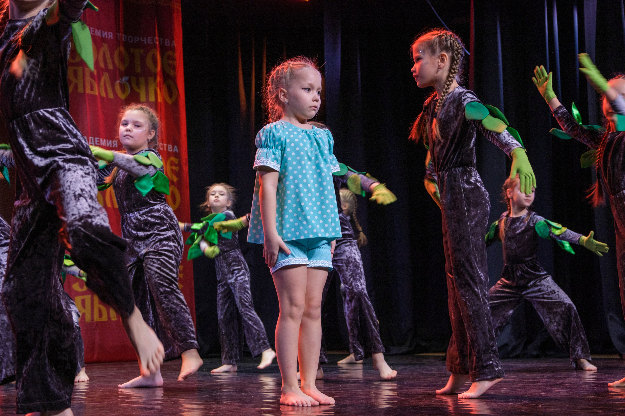 17 ноября, г. Великий Устюг. Золотое яблочко