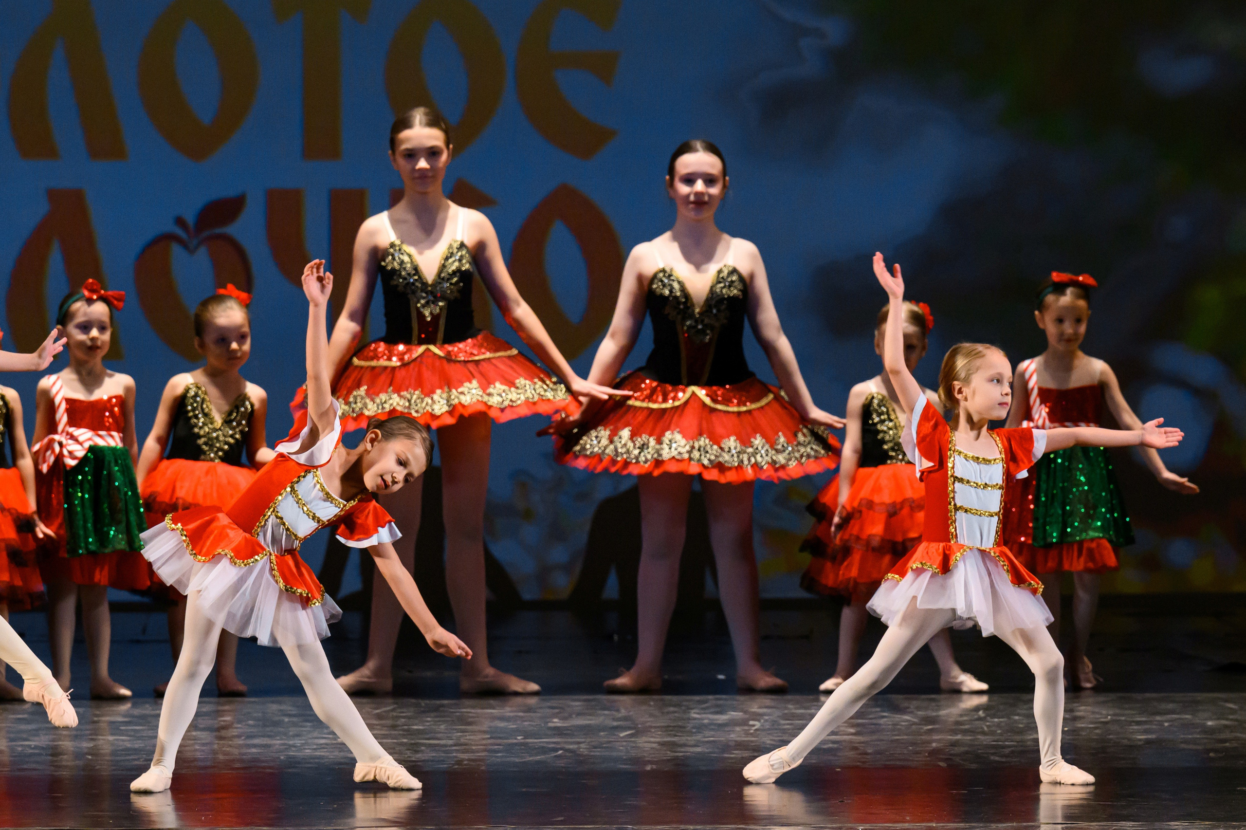 4 декабря, блок 1, награда, г. Санкт-Петербург. Золотое яблочко