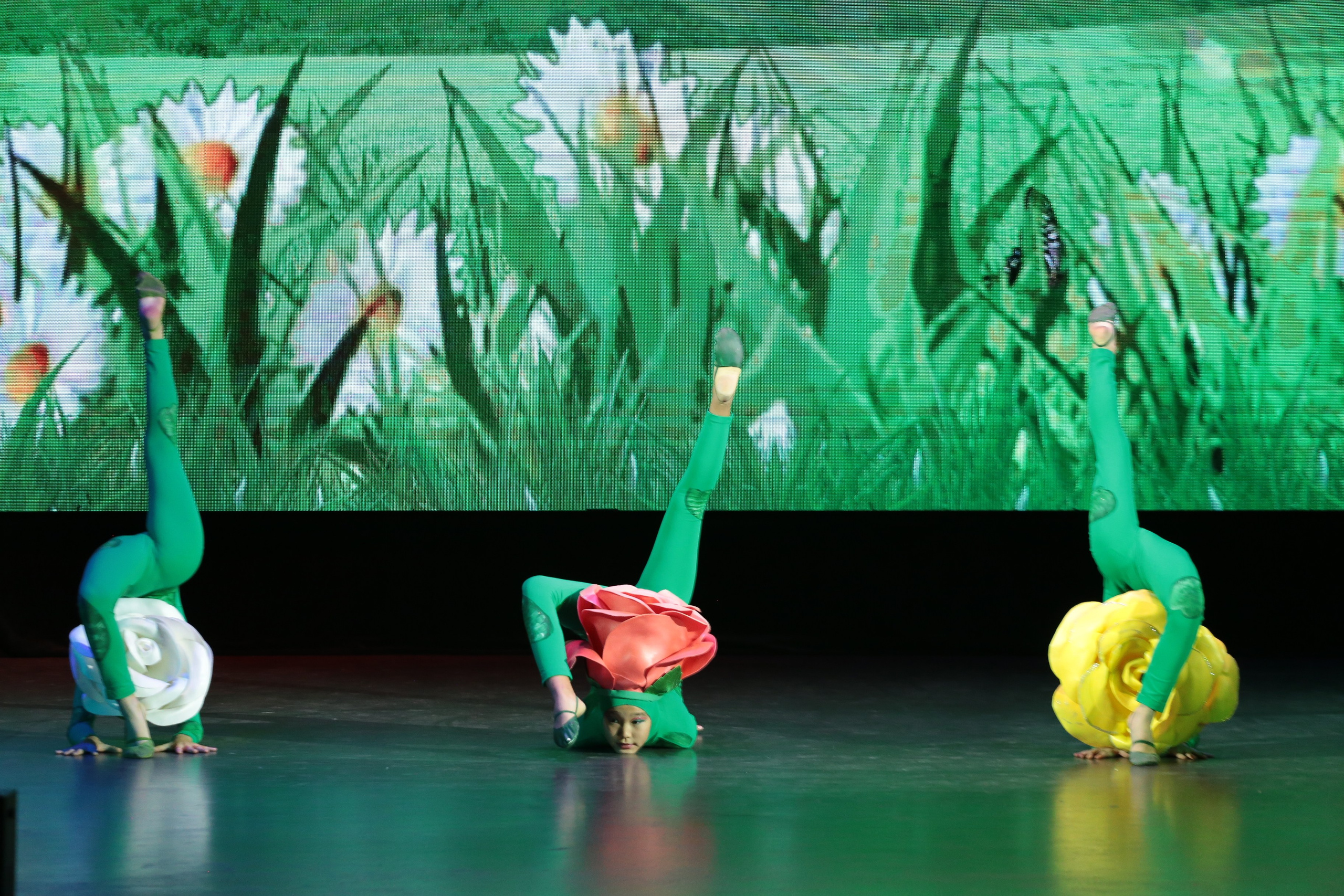 3 ноября, г. Казань. Золотое яблочко