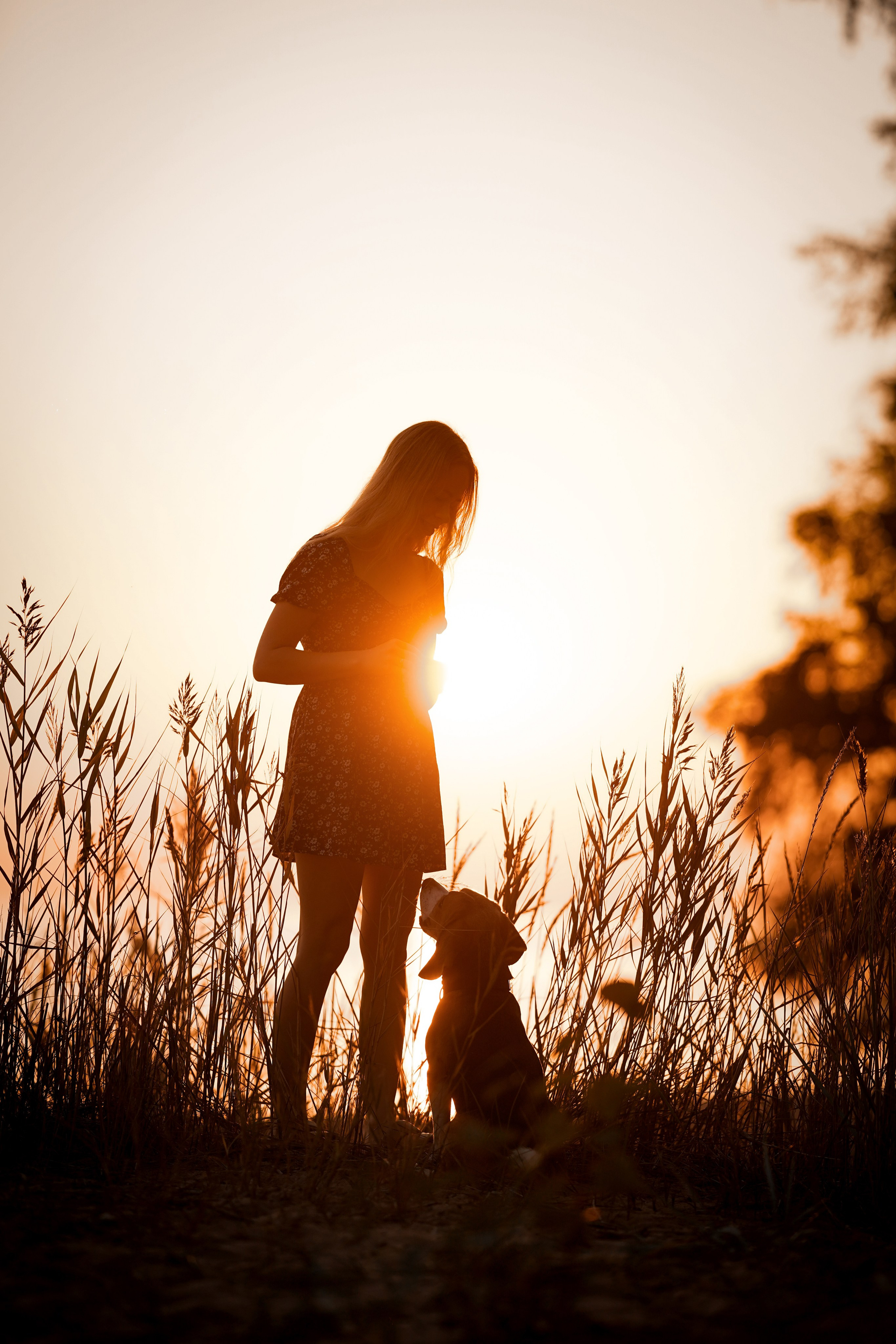 Оля Леша и Ричард. Фотограф-анималист в Санкт-Петербурге Яна Мартынова