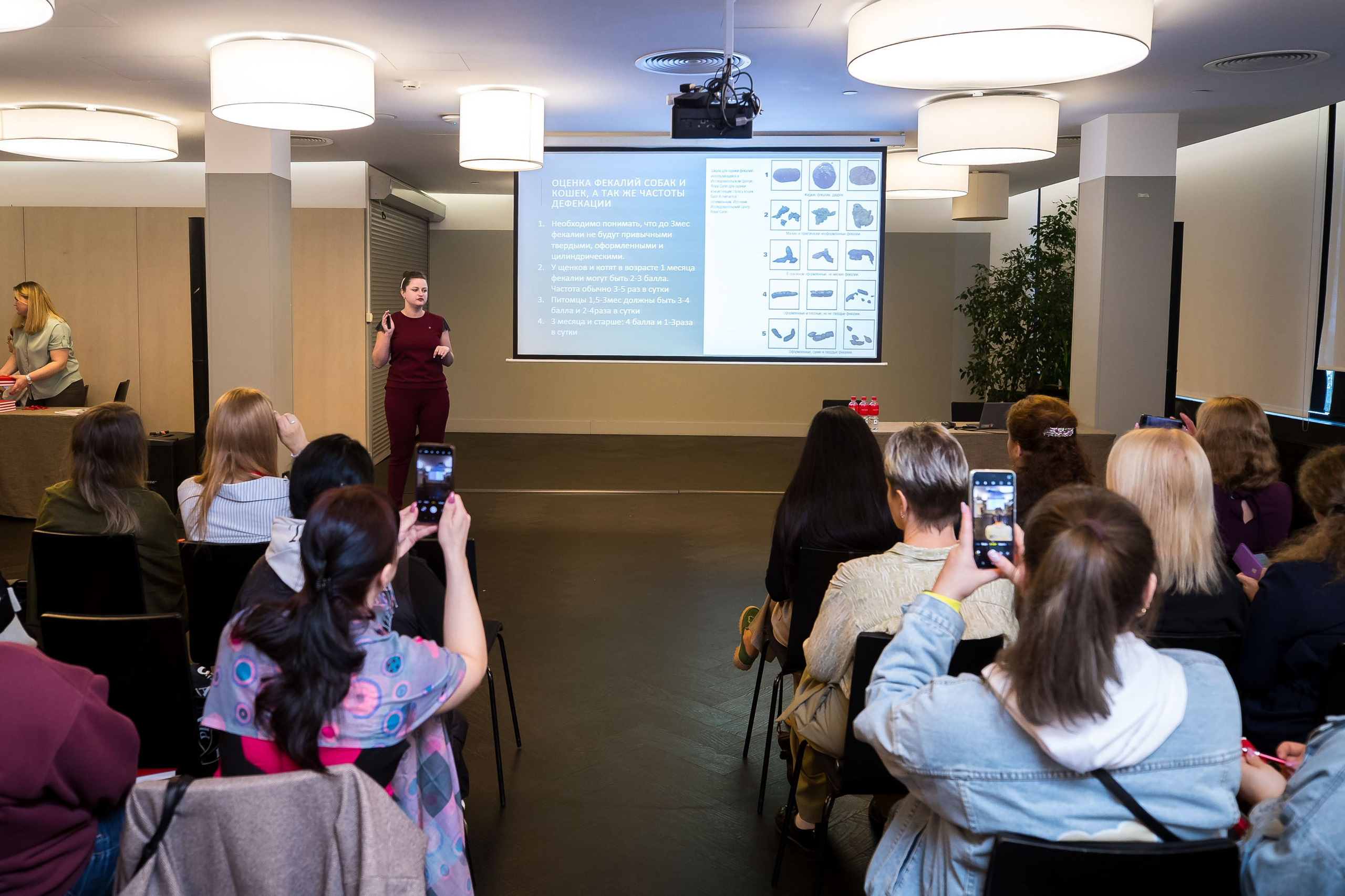 Эксперт-форум Royal Canin. Репортажный фотограф во Владивостоке