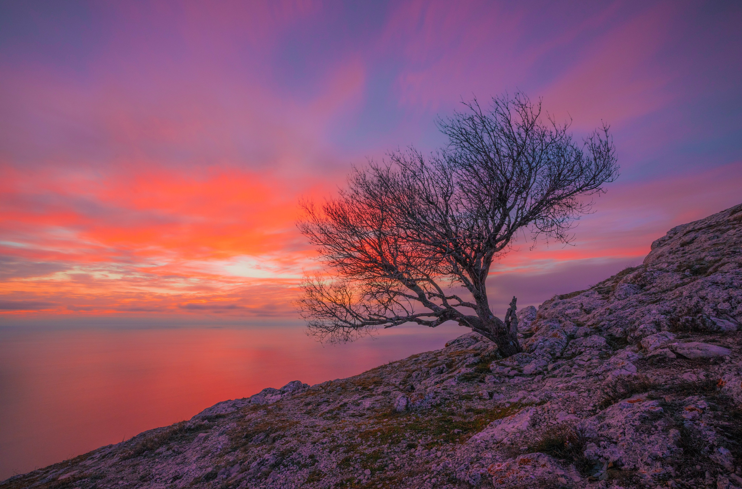 Природа. Глеб Захаренко — спортивный и репортажный фотограф в Крыму