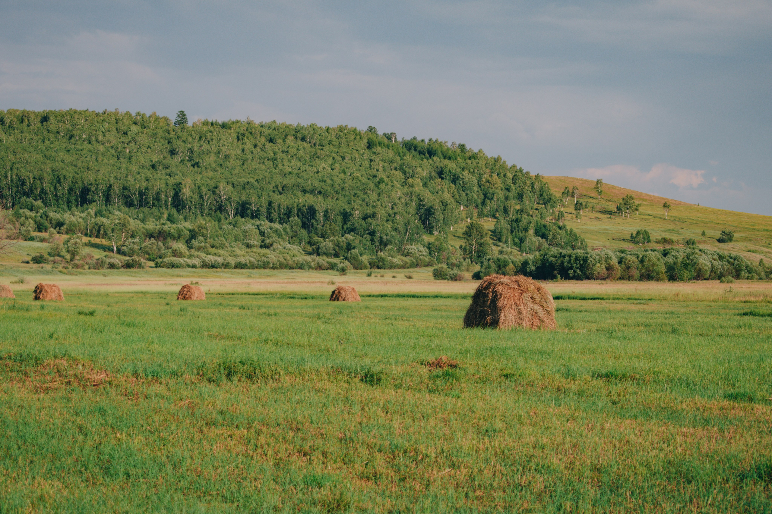 Фотограф. Шелопугино, Забайкальский край