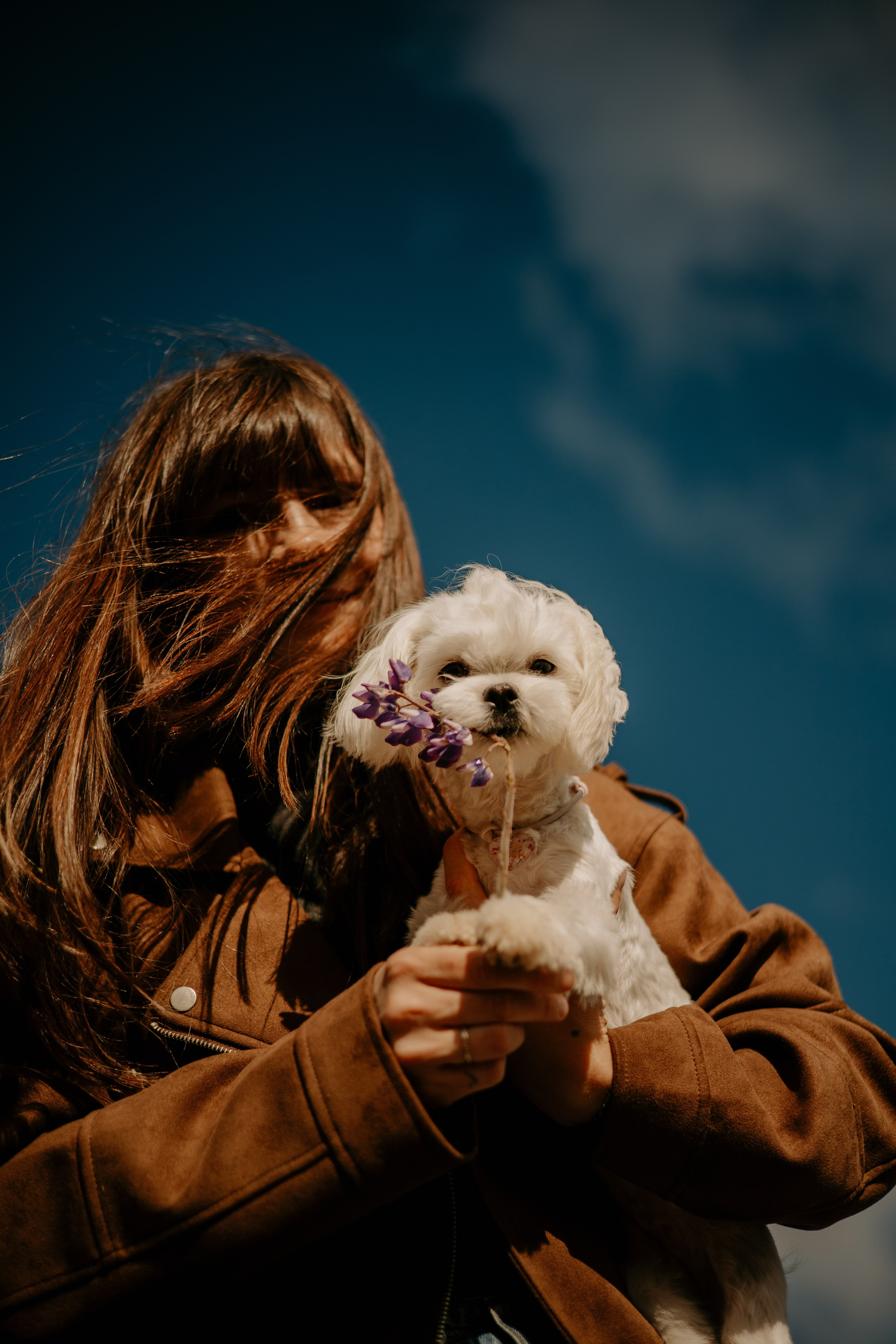 Любовь и Белла. Фотограф — анималист •love-story•|Санкт-Петербург