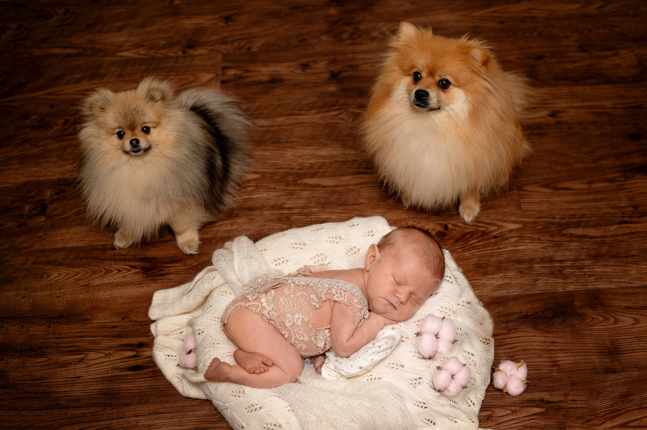 Есения. Фотограф новорожденных, семейный детский в Тюмени Татьяна Морозова