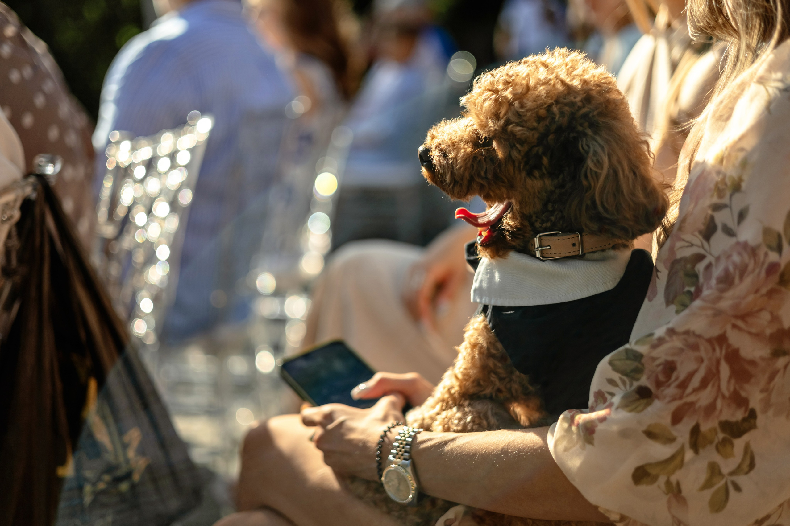 Сергей и Александра. Свадебный фотограф в Калининграде Филоненко Наталья