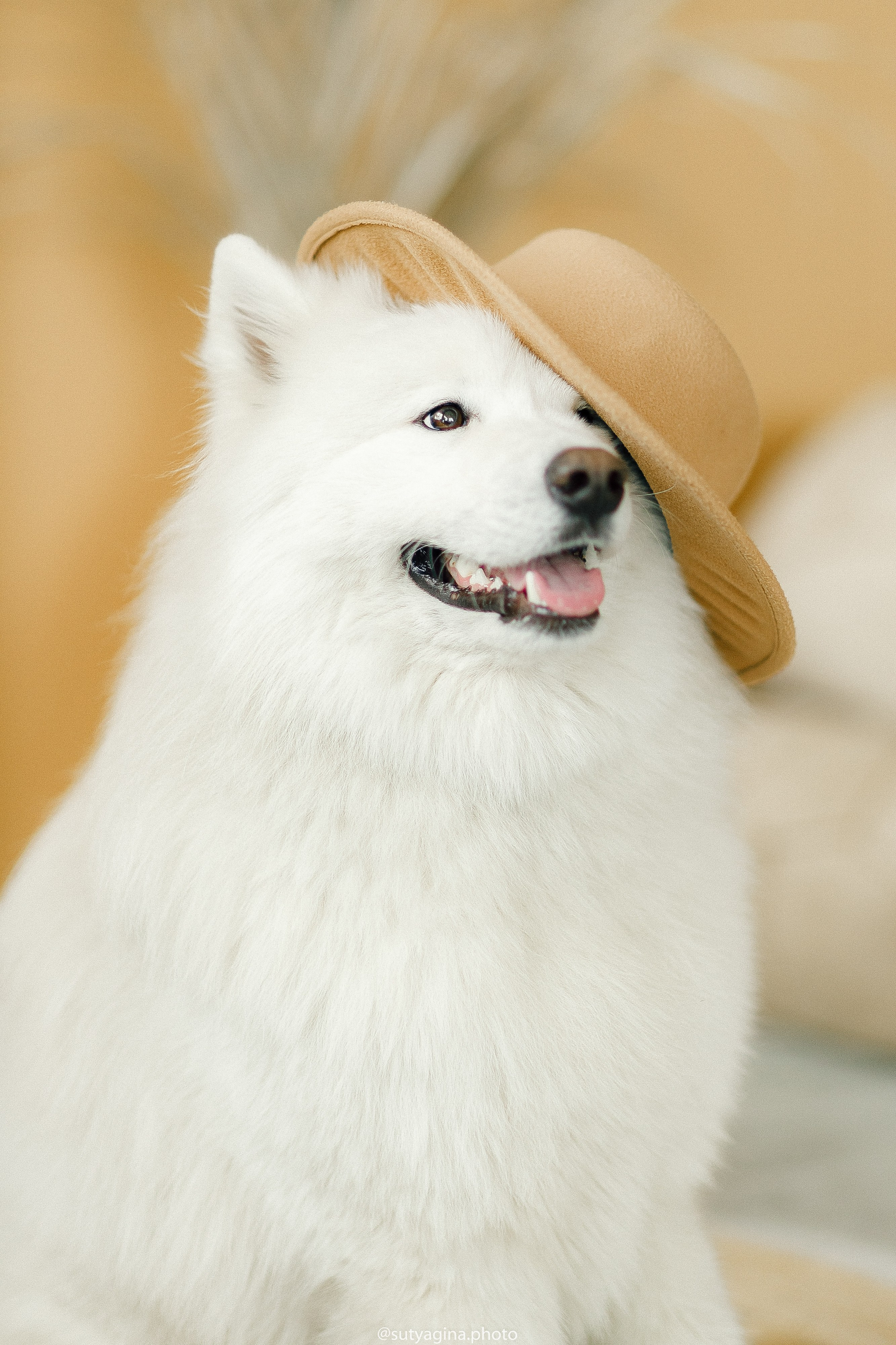 Самоед Мартин. Свадебный и женский фотограф