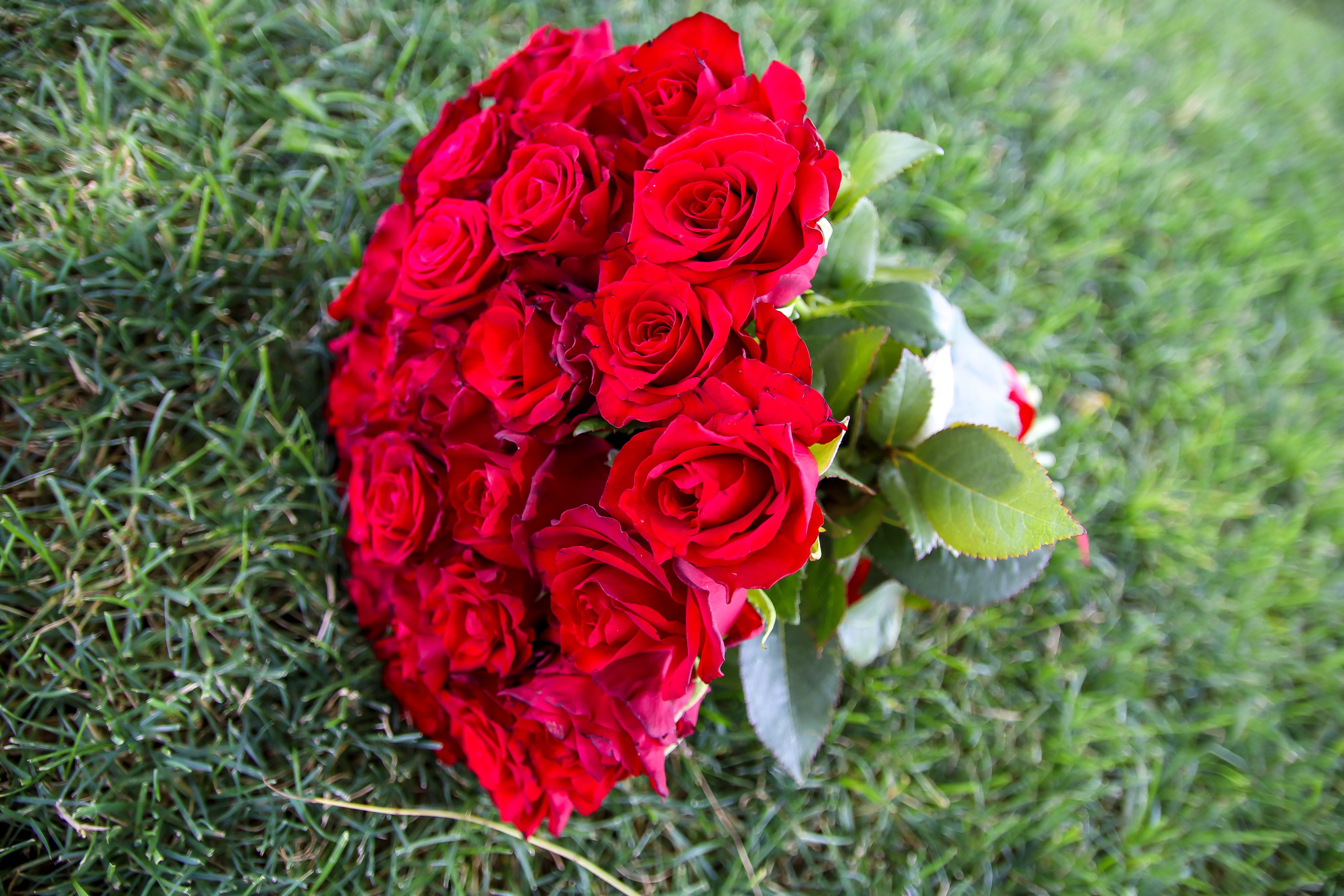 ИГОРЬ и СВЕТЛАНА 17.07.2021 г. Фотограф Людмила Лебединская г. Краснодар (Приморско-Ахтарский р-он)