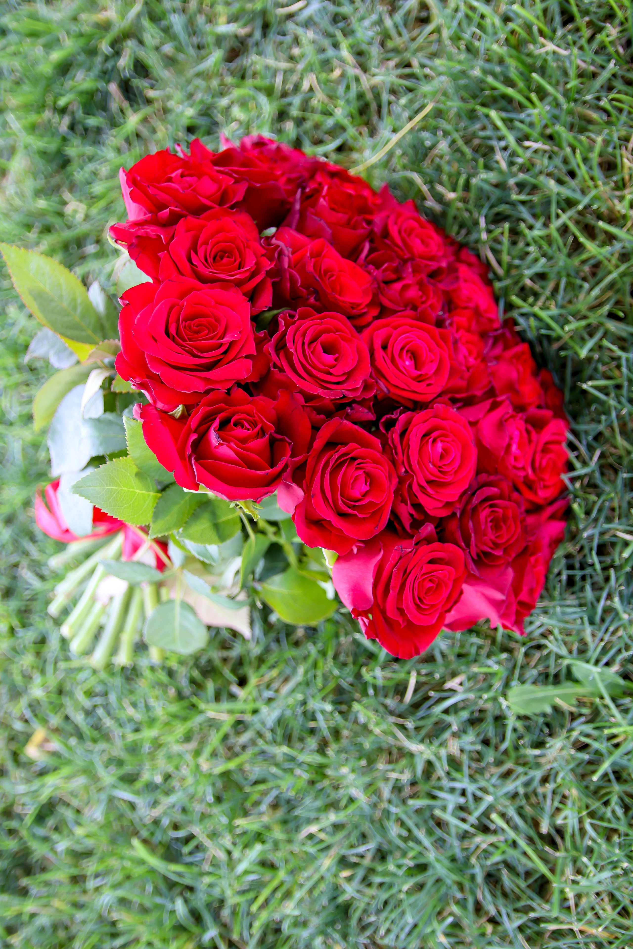 ИГОРЬ и СВЕТЛАНА 17.07.2021 г. Фотограф Людмила Лебединская г. Краснодар (Приморско-Ахтарский р-он)