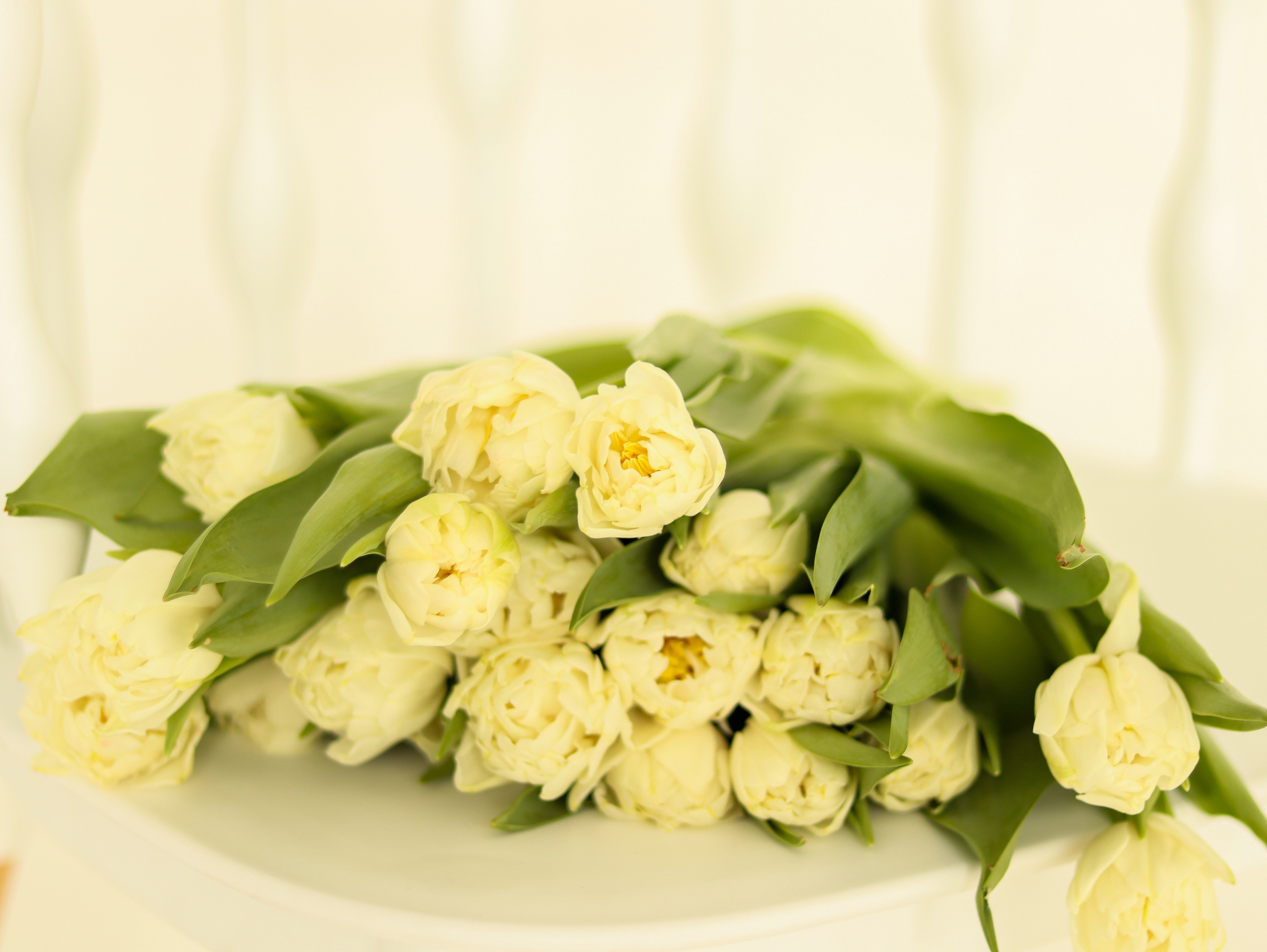 ОКСАНА. Фотограф Людмила Лебединская г. Краснодар (Приморско-Ахтарский р-он)