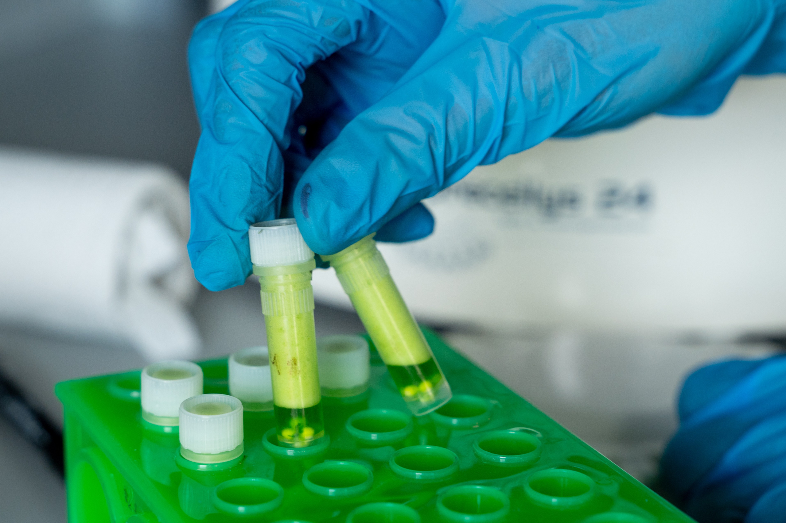 Международная конференция РАН