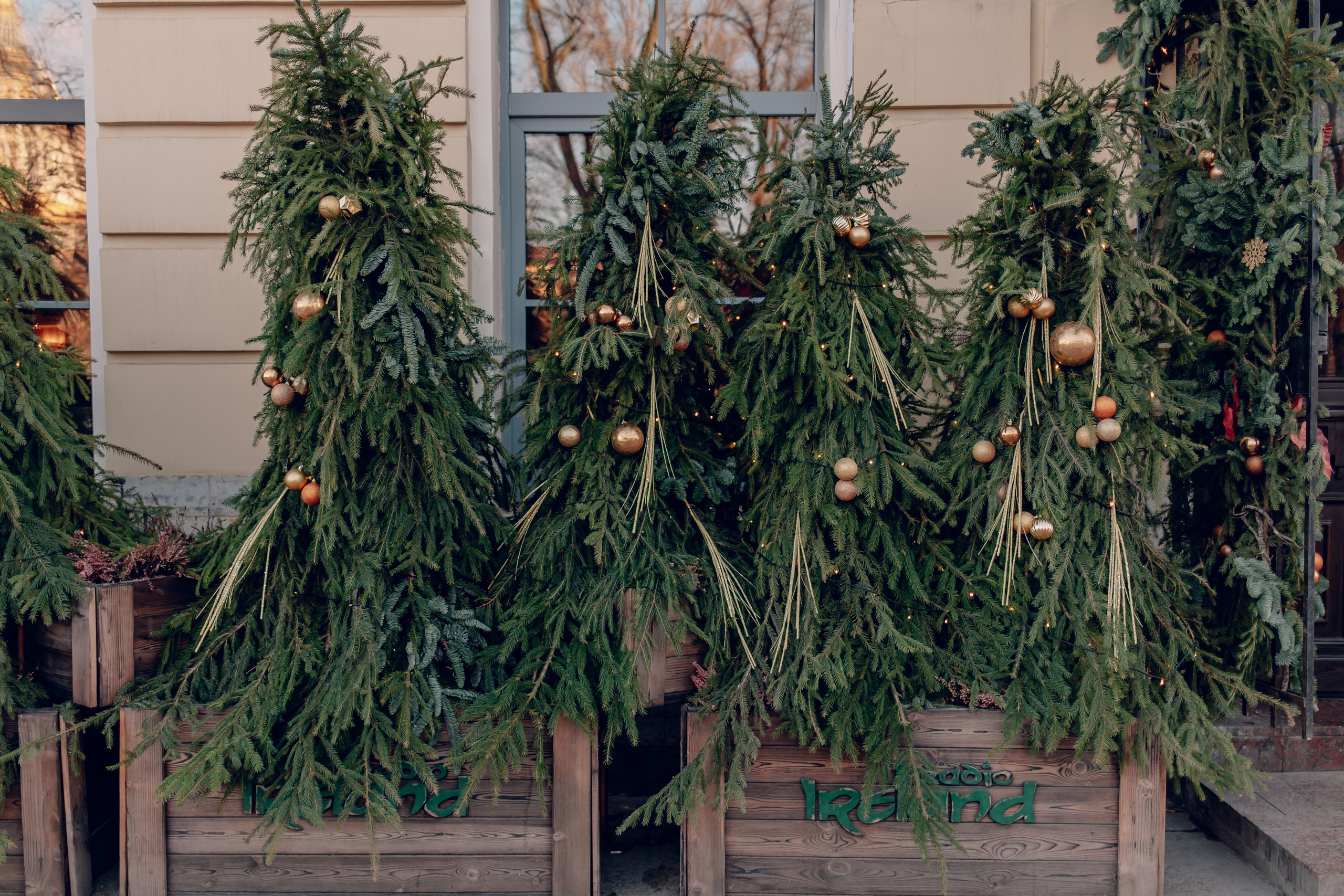 Санкт-Петербург. Аня Степанова