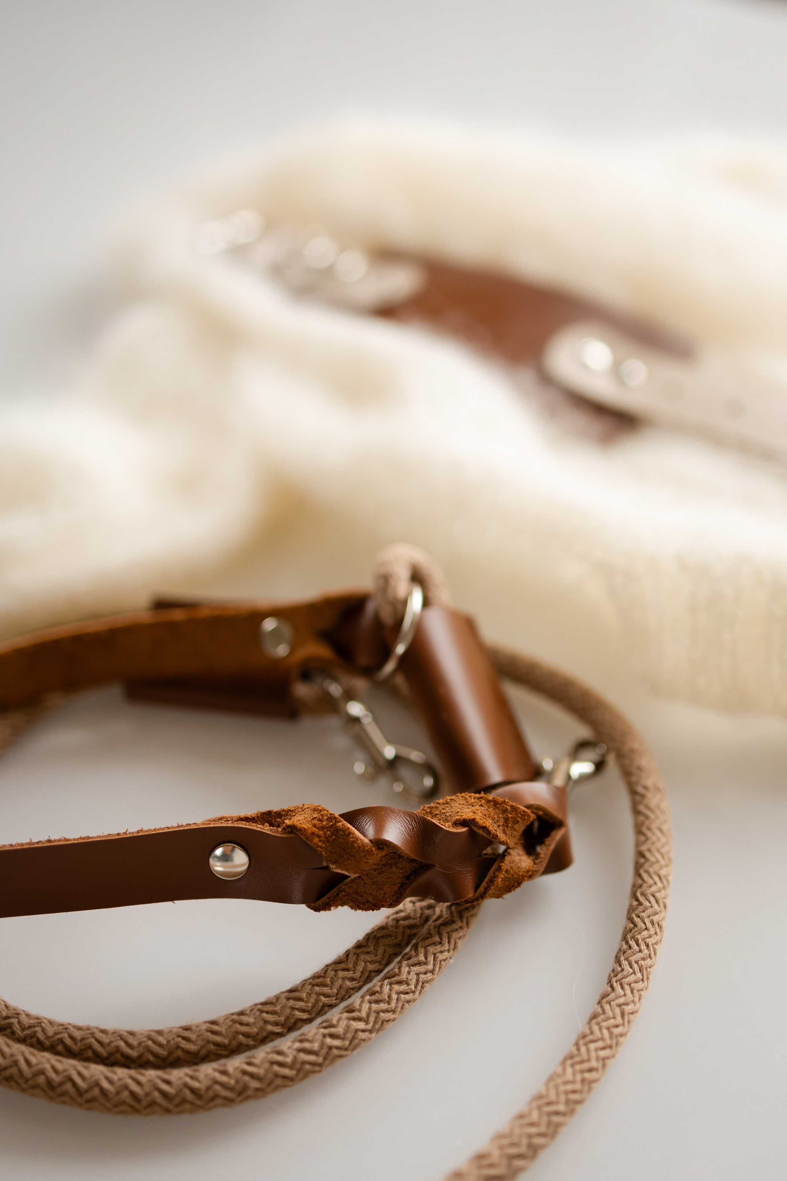 Прогулки. Профессиональный питомник левреток РКФ/FCI ASTI SAPPHIRE 💎 Сочи|Санкт-Петербург