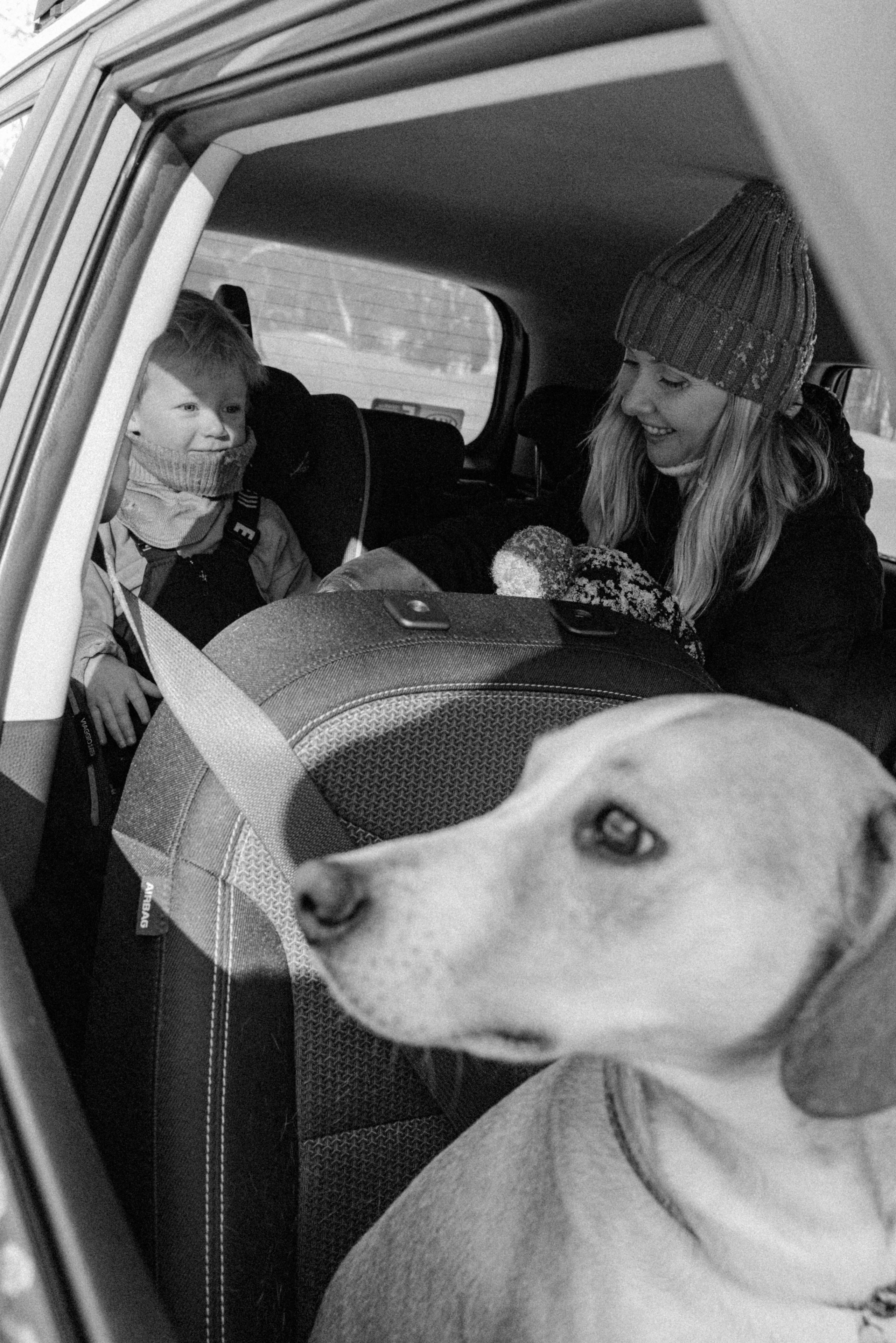 Свобода и ее семья. Фотограф-анималист в Москве Лера Черноног