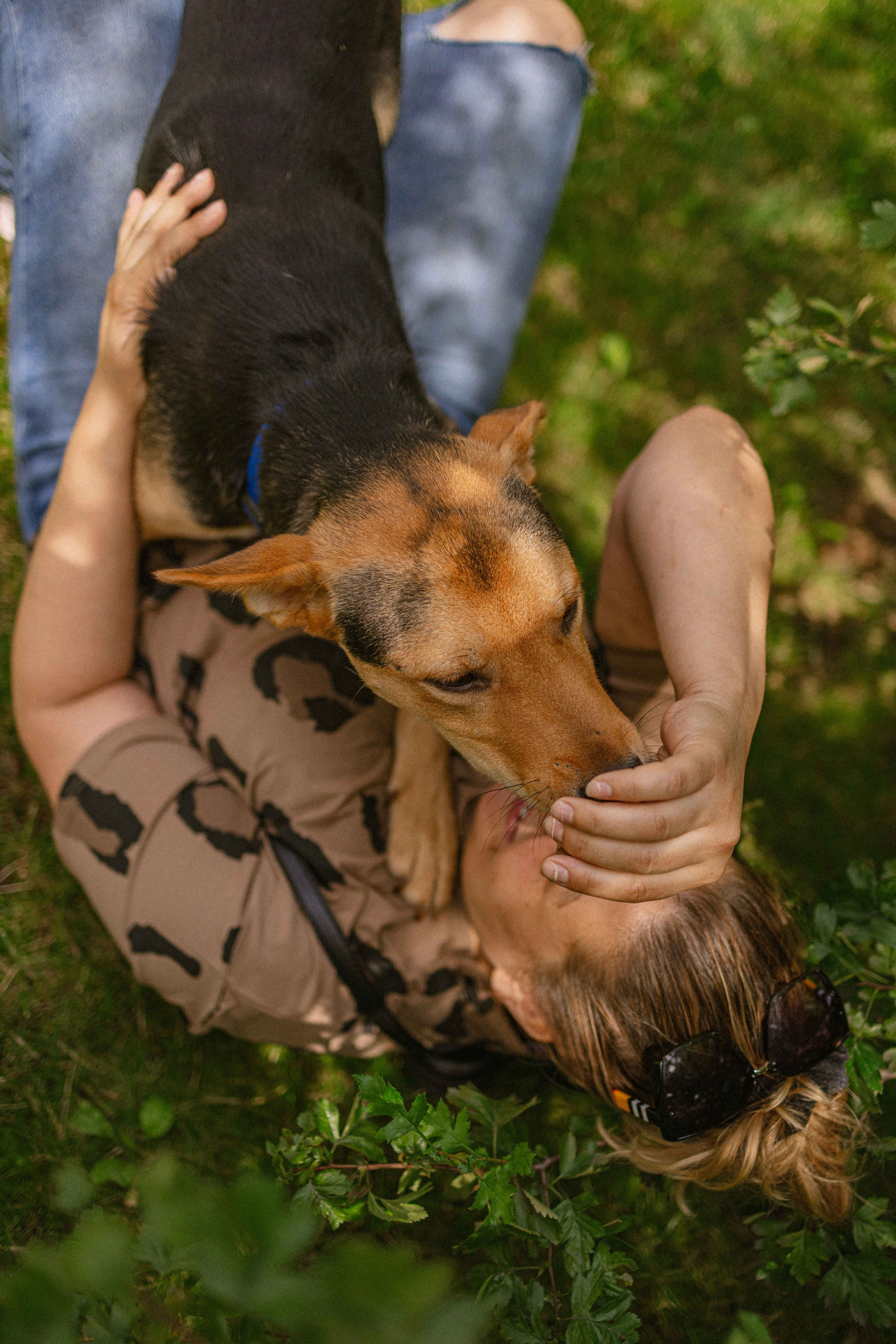 Джеки. Фотограф-анималист в Москве Лера Черноног