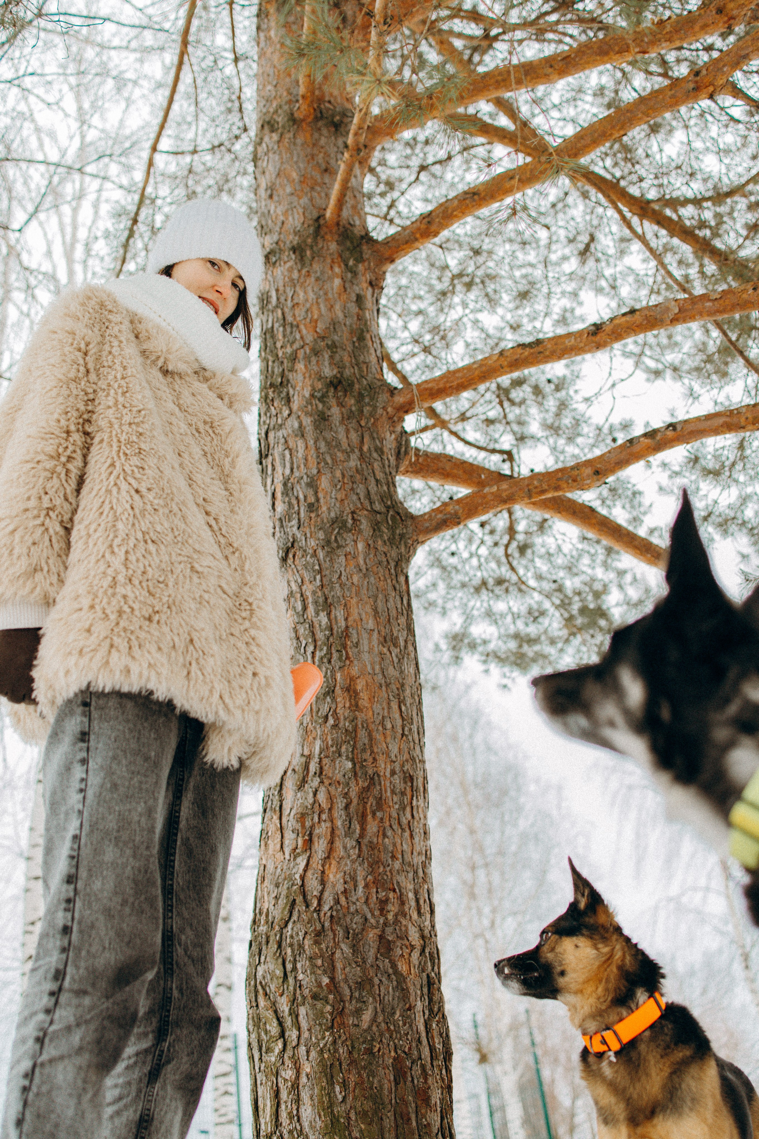 Ника, Матиша и Герда. Фотограф-анималист в Москве Лера Черноног