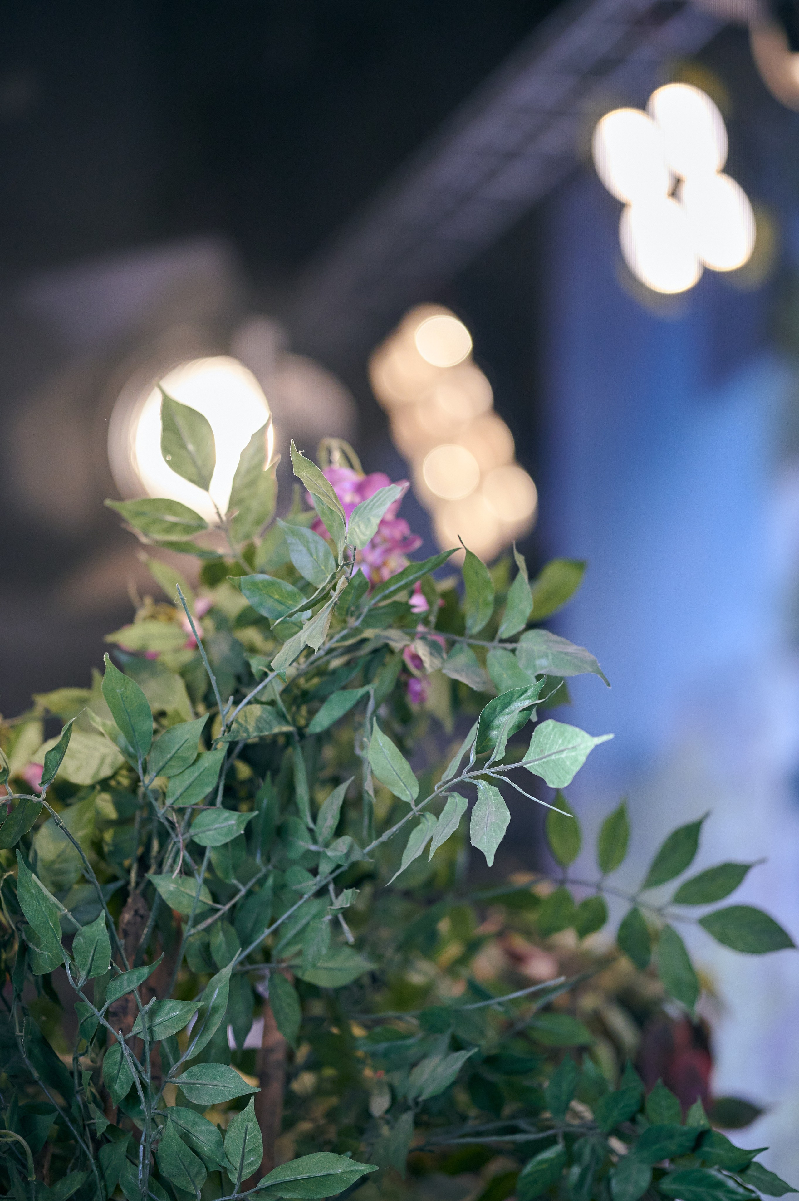 Нина. Никита Хохловский фото и видео продакшн