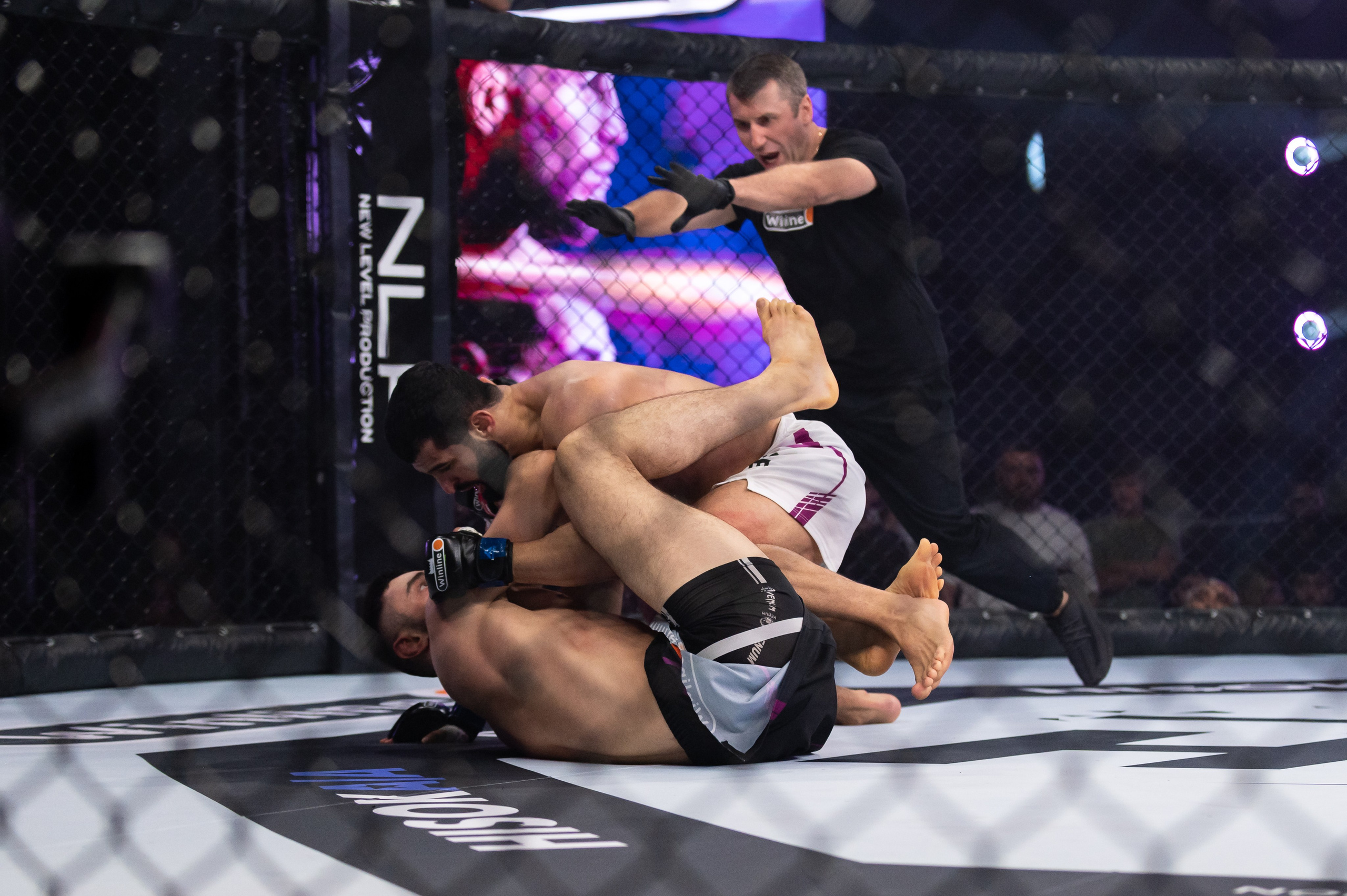 Бои. Репортажный фотограф в Красной Поляне и Сочи Павлюченко Екатерина