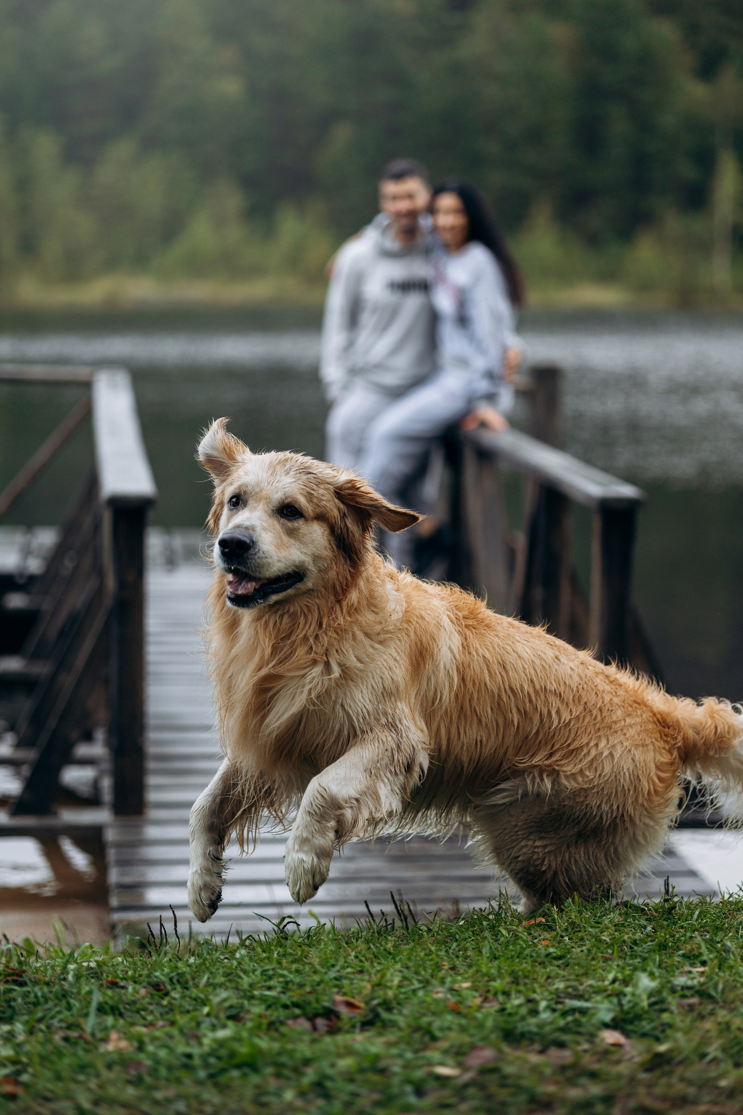 Лёва и его семья. Фотограф — Анималист | Санкт-Петербург