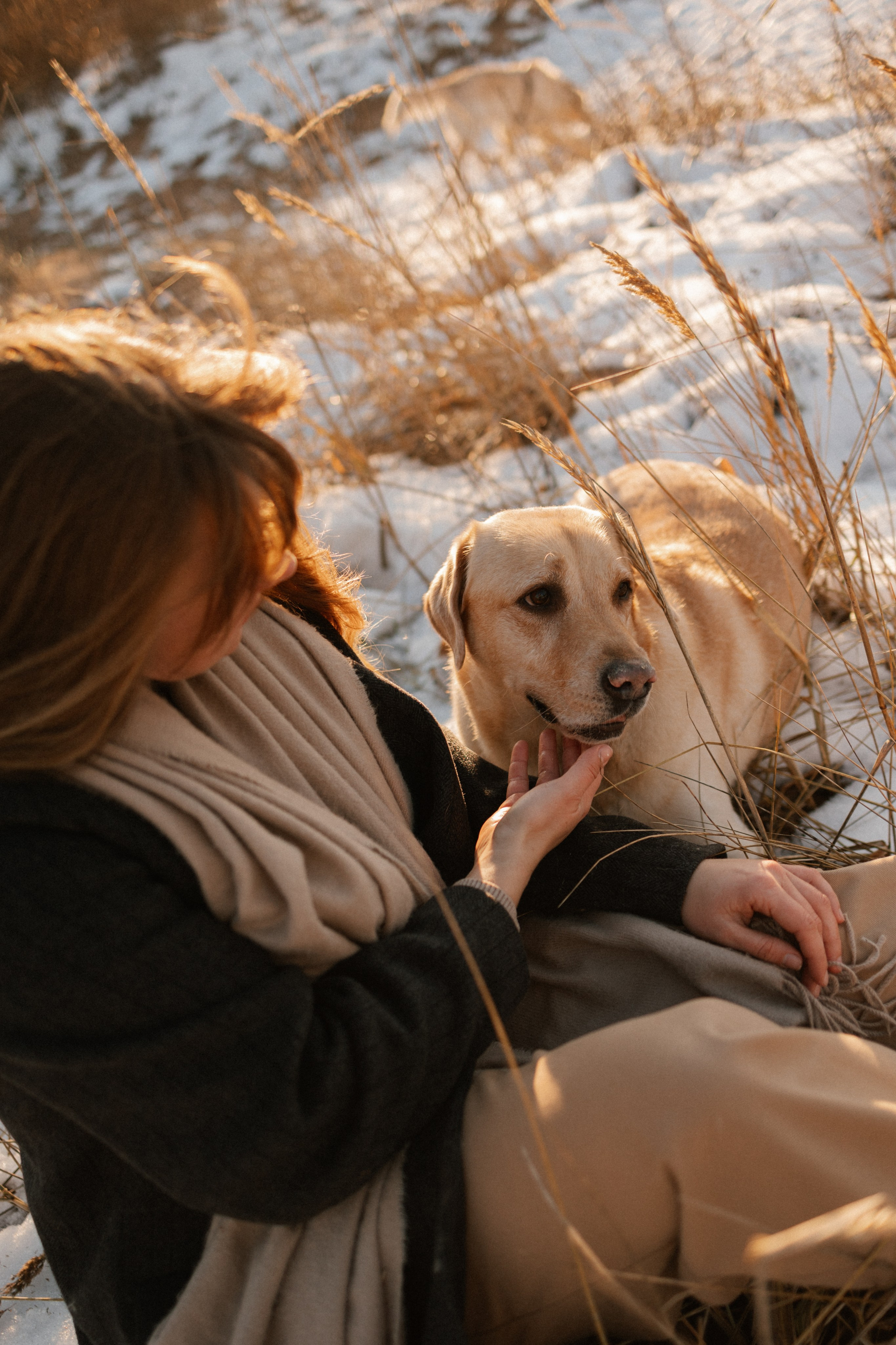 Ирина и Бася. Фотограф — Анималист | Санкт-Петербург