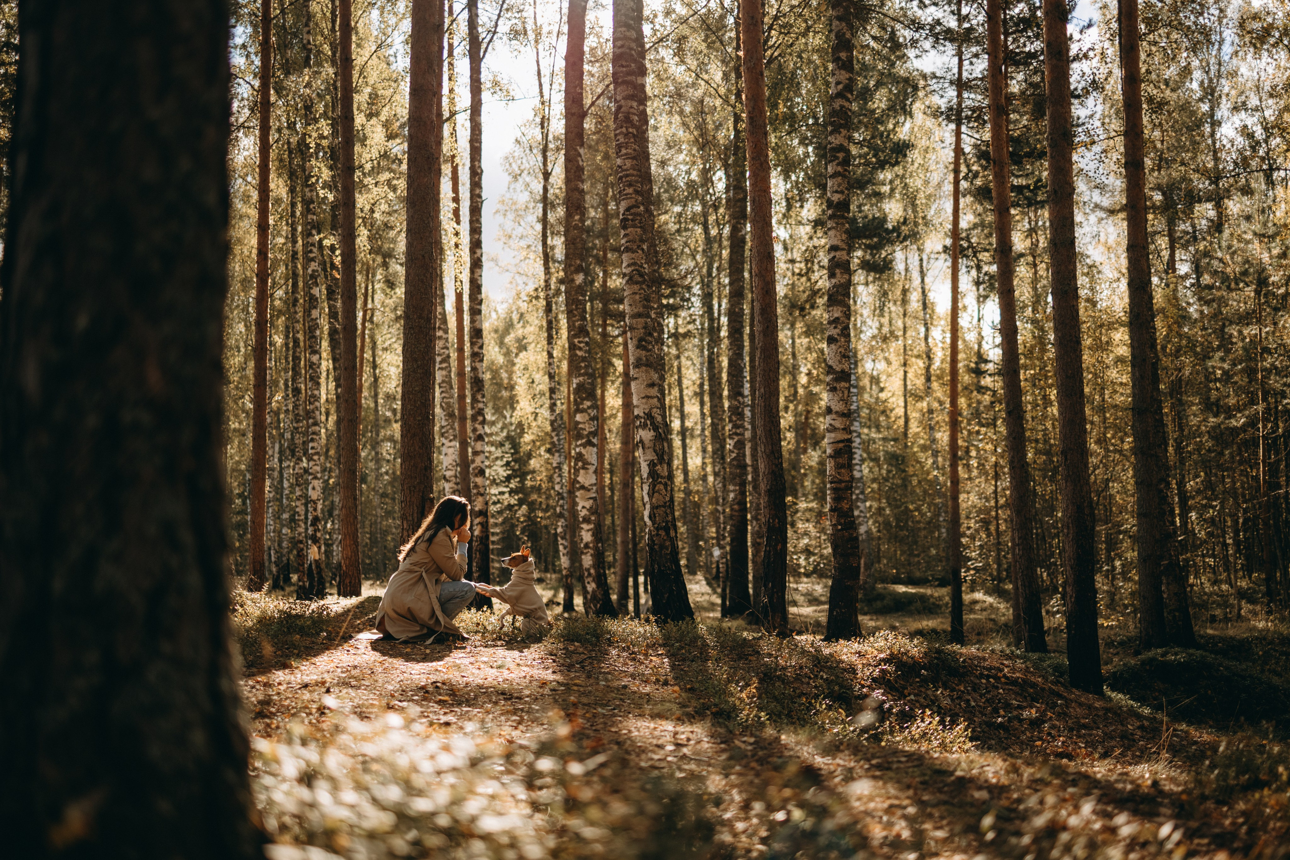 Алиса и Лео. Фотограф — Анималист | Санкт-Петербург