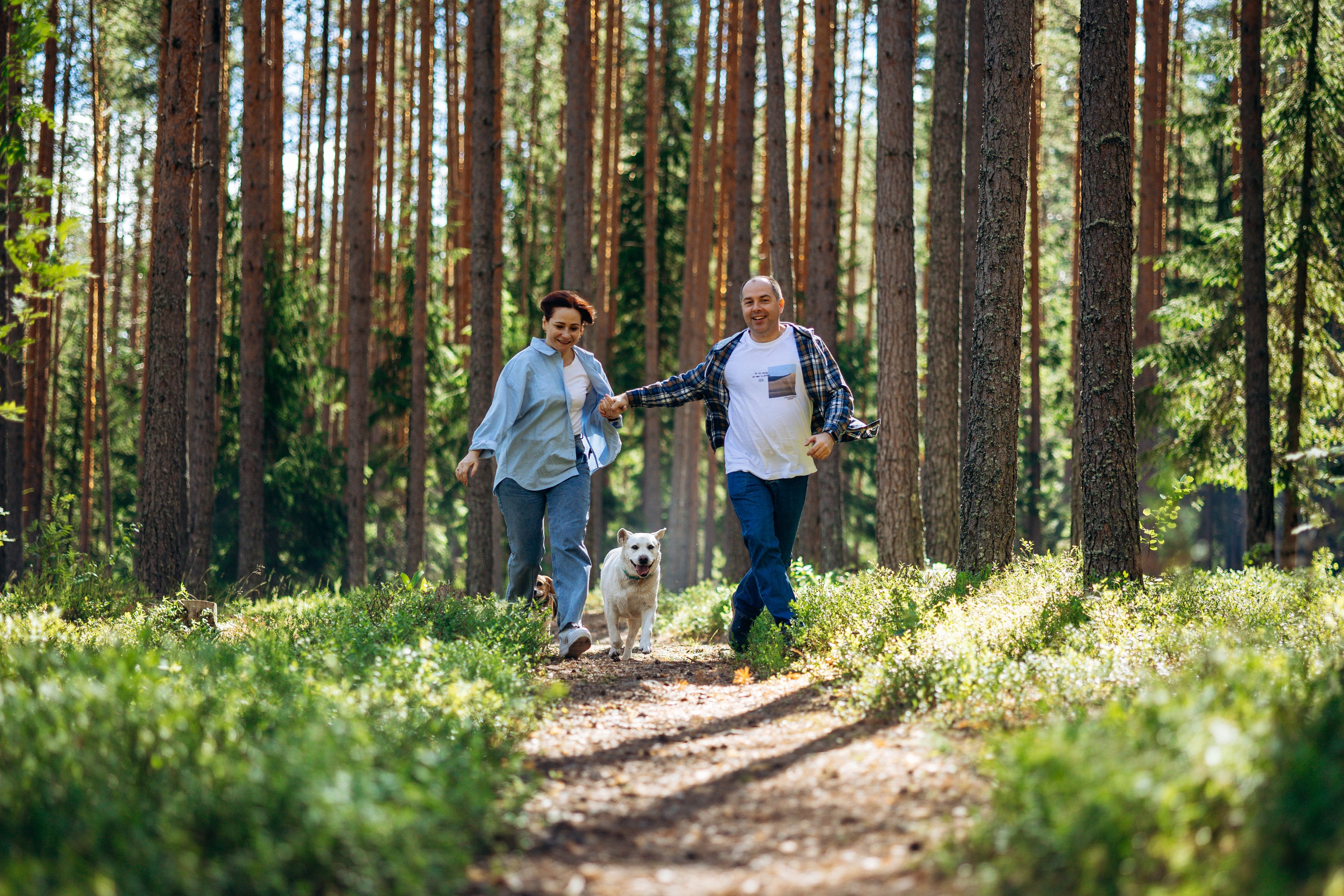 Котофеи и их семья. Фотограф — Анималист | Санкт-Петербург