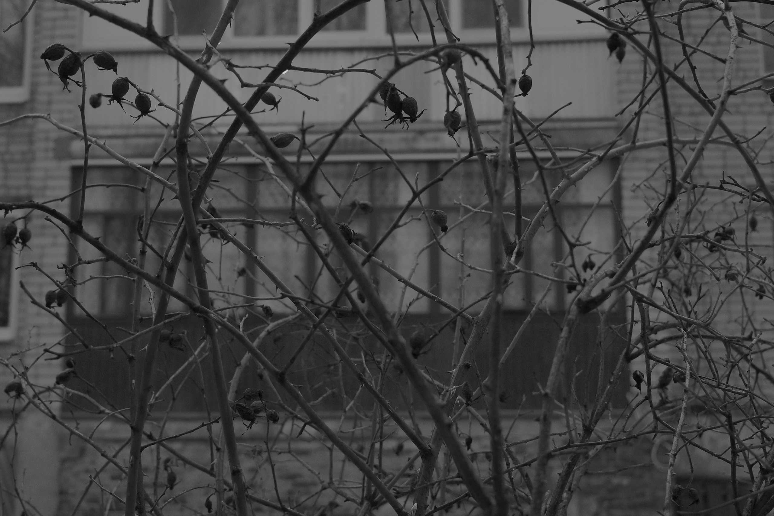 — 2025. Фотограф Злата Спицына