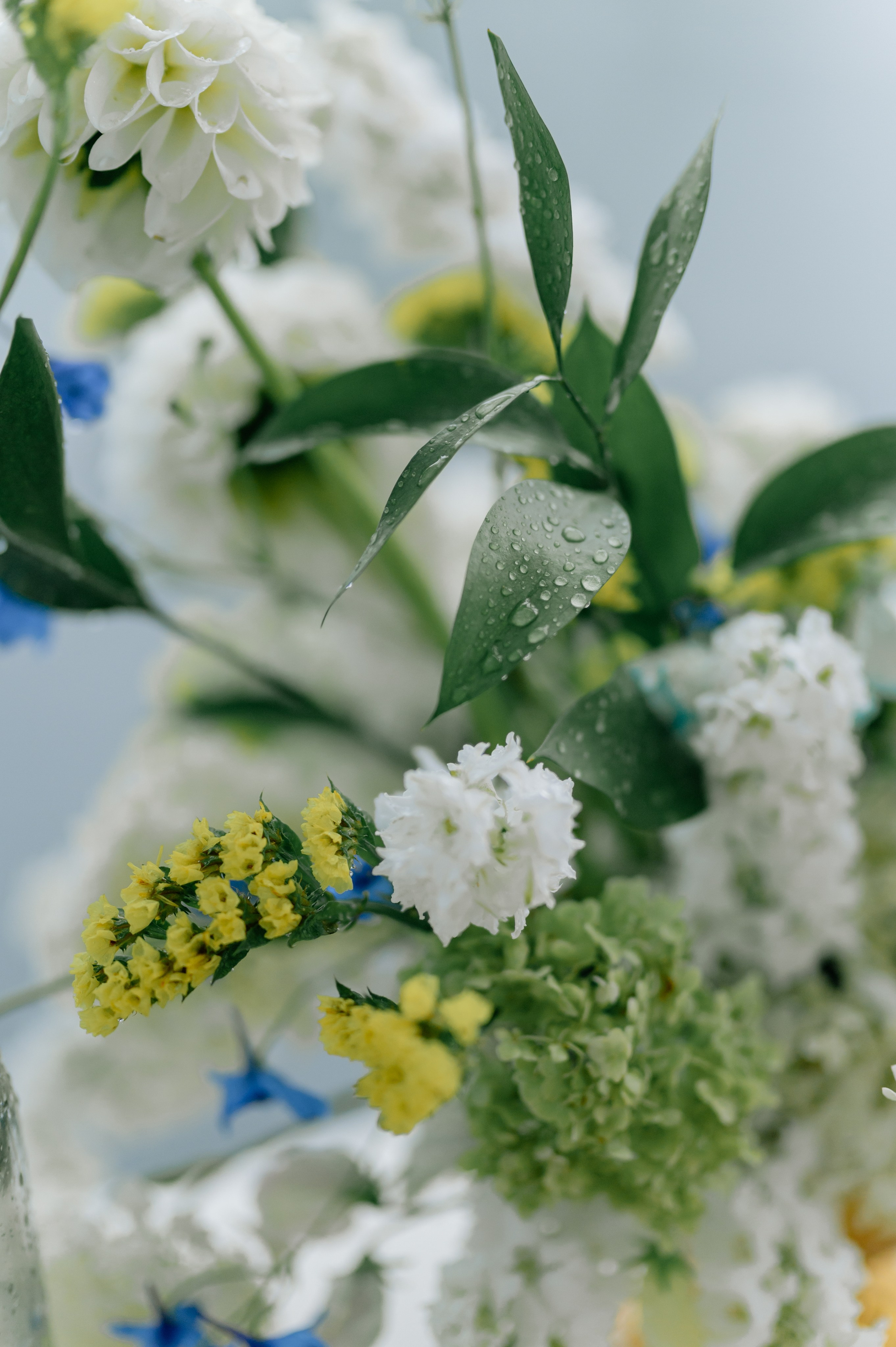 Павел и Элина. Свадебный фотограф Минск, Пинск, Брест, Гродно Чернигов Андрей
