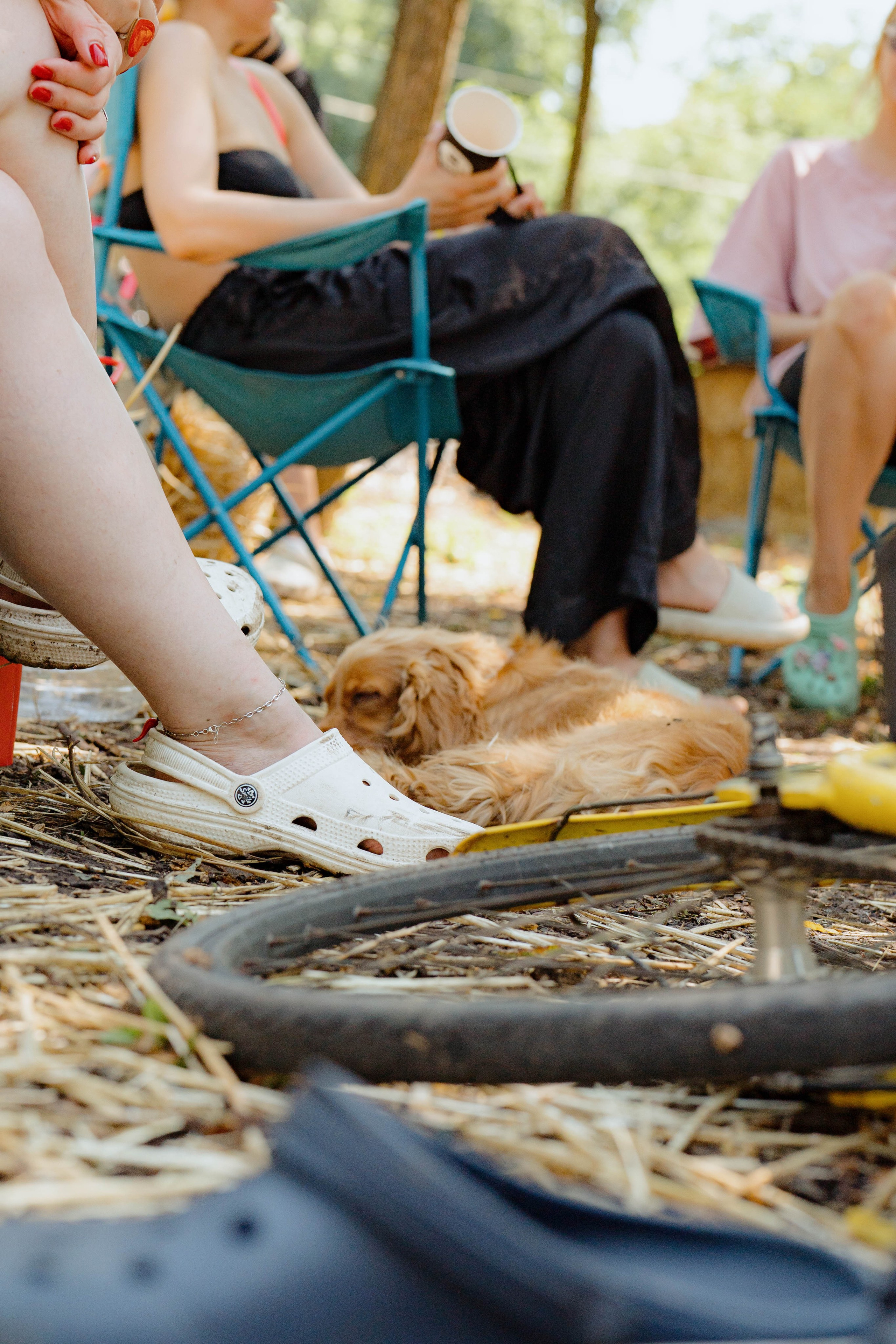 ASS FAMILY | СОН В ДЕРЕВНЕ | АВИАРЕЖИМ 8.0