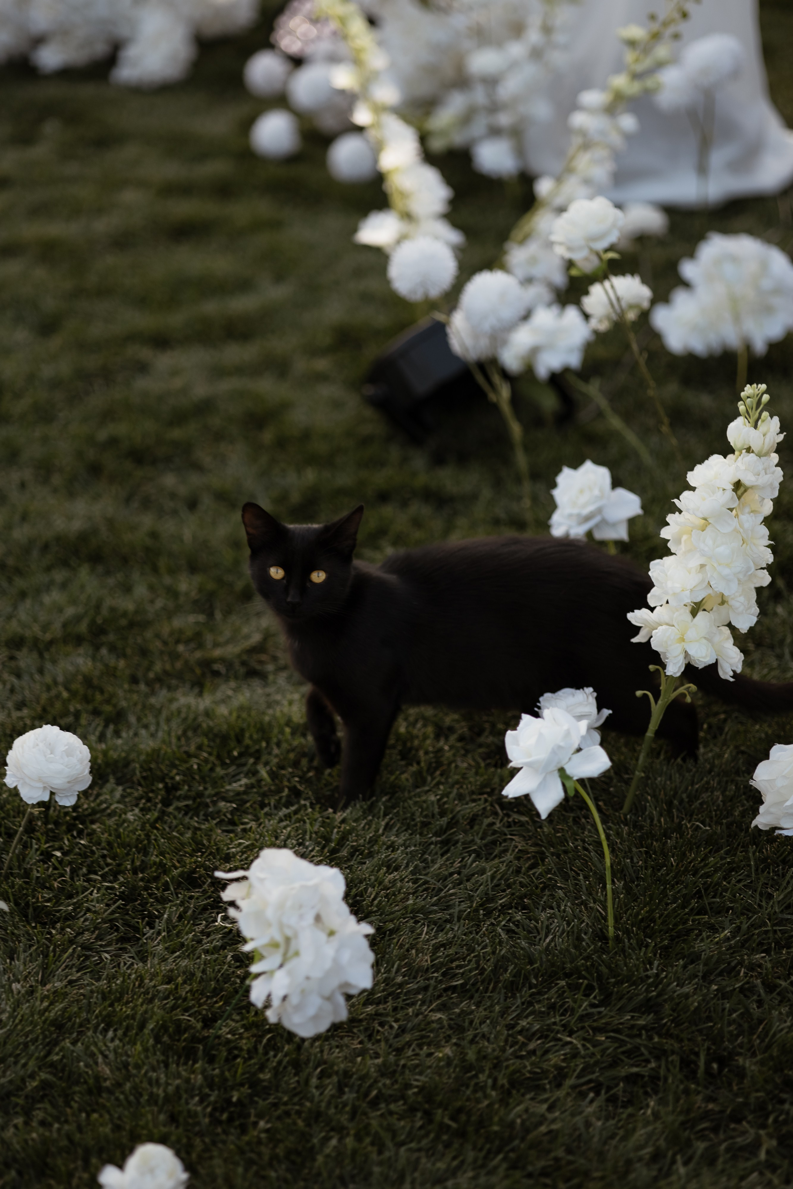 И&Л. Свадебный фотограф