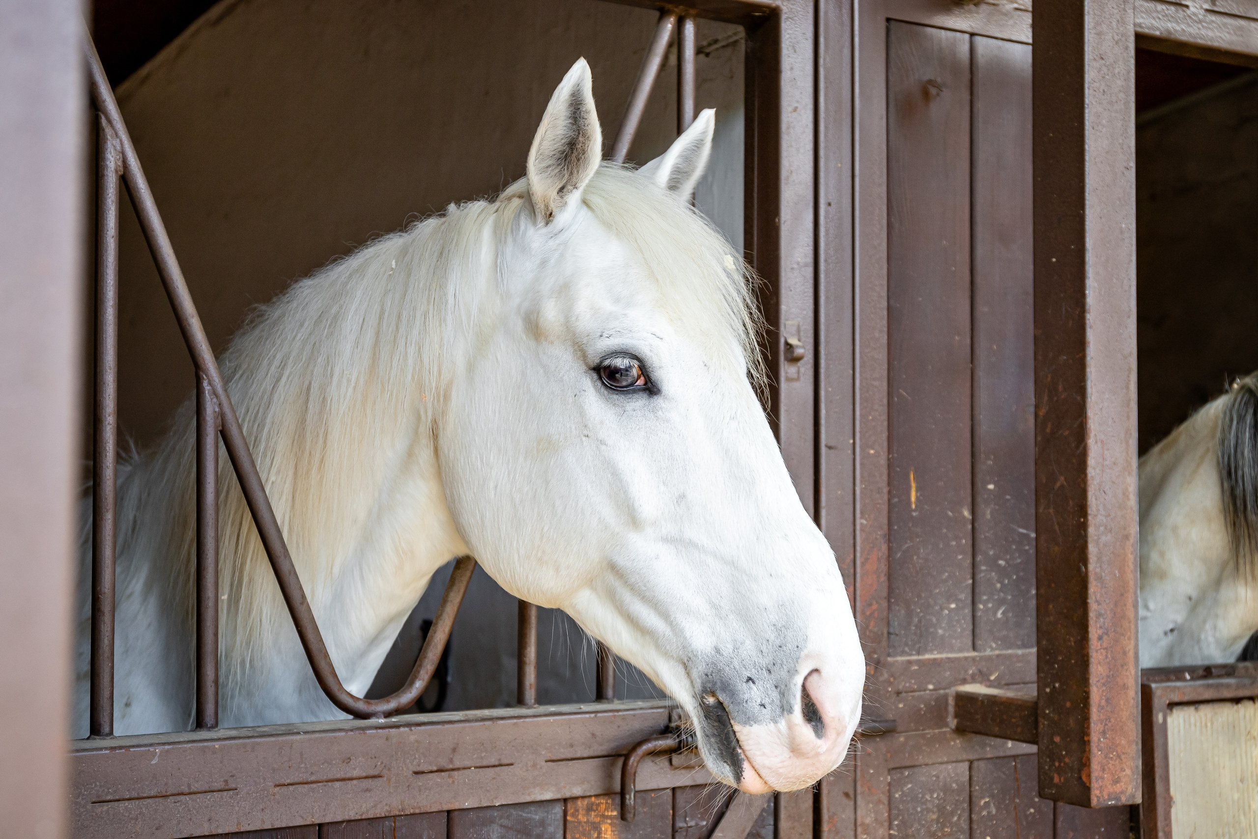 Парк-отель «Орлиное гнездо». Номера в домиках. п. Горячий Ключ. Интерьерный фотограф в Краснодарском крае Светлана Шурлова