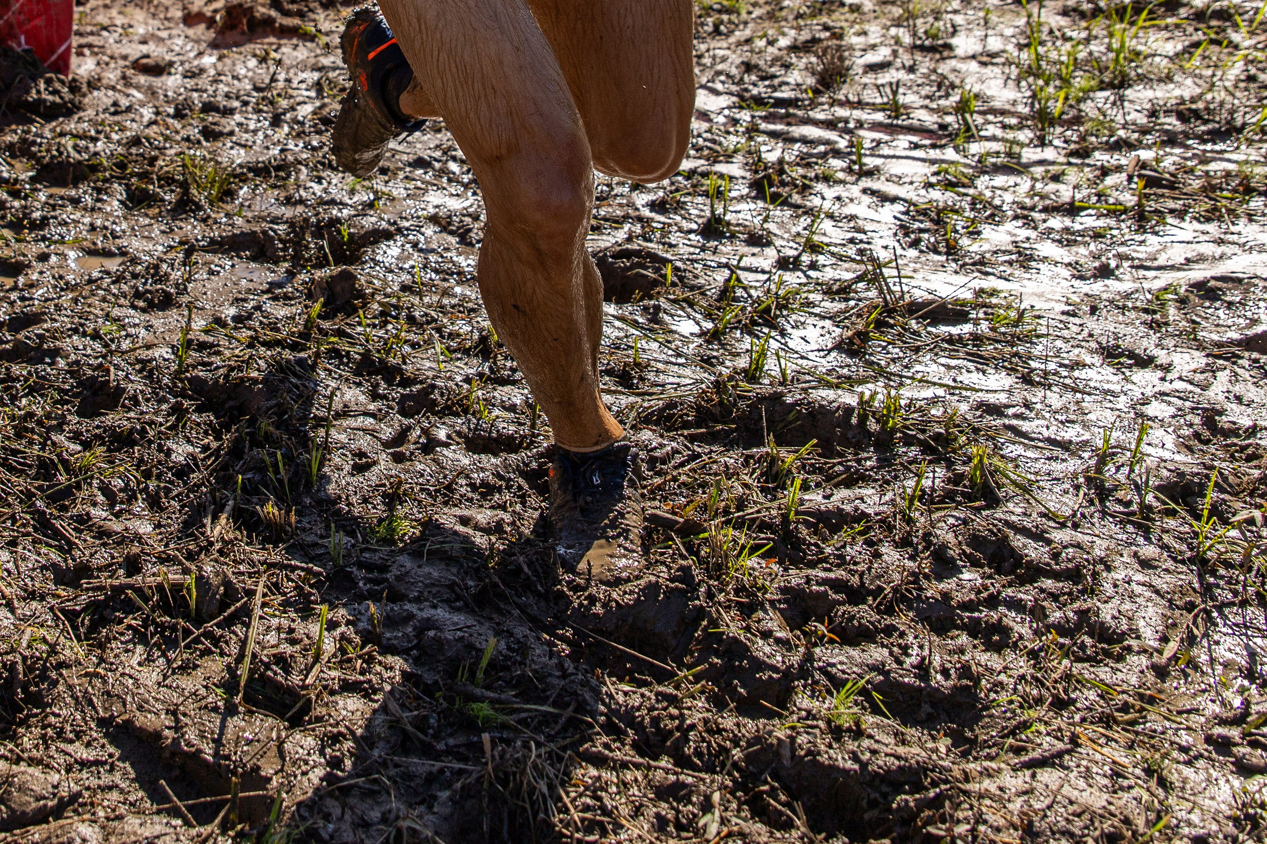 Dogtrail 2023. Уссурийск