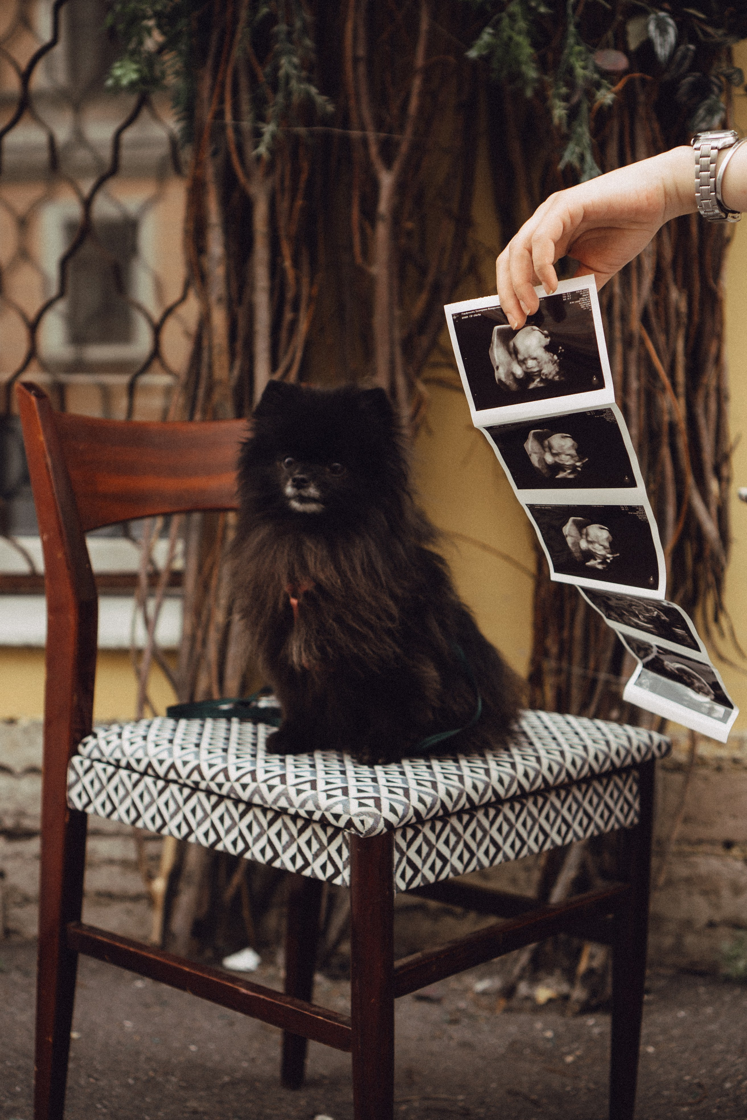 Беременность (только часть фото по желанию клиентов могу показать)). Профессиональный фотограф, Санкт-Петербург — Виктория Богомолова